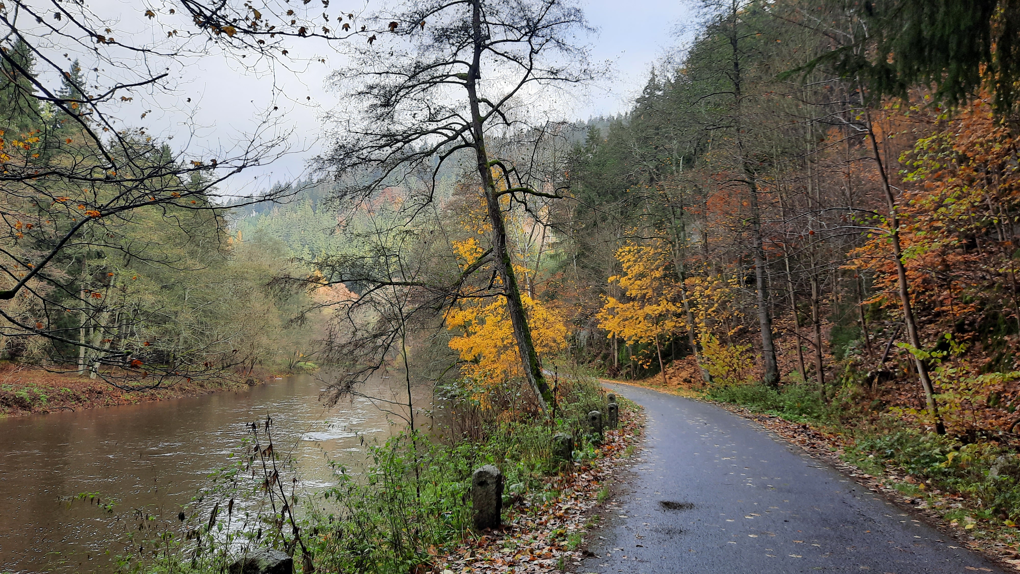Restaurant Svatošské Skály foto 4