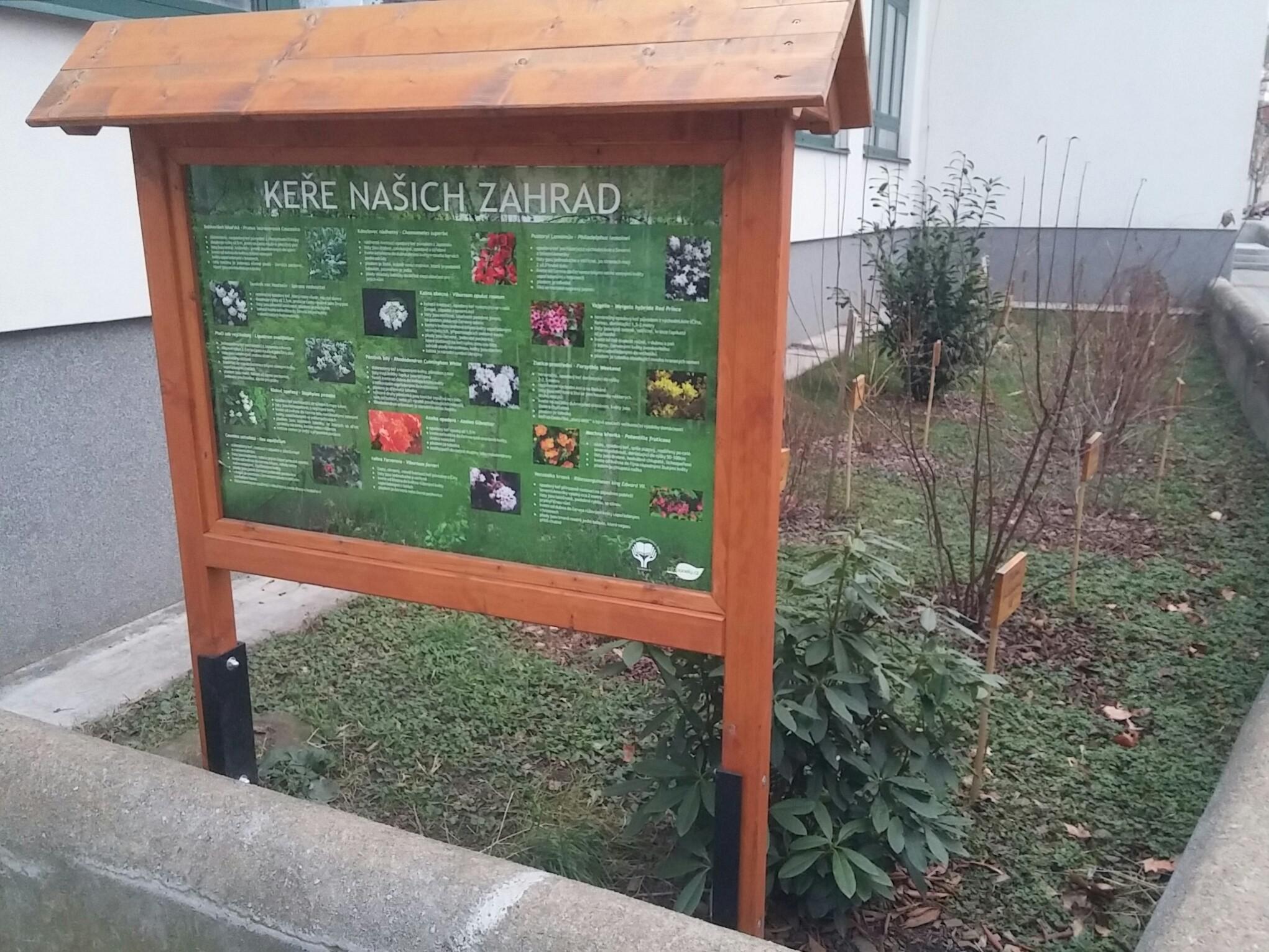 Tyršova ZŠ, Brno foto 6