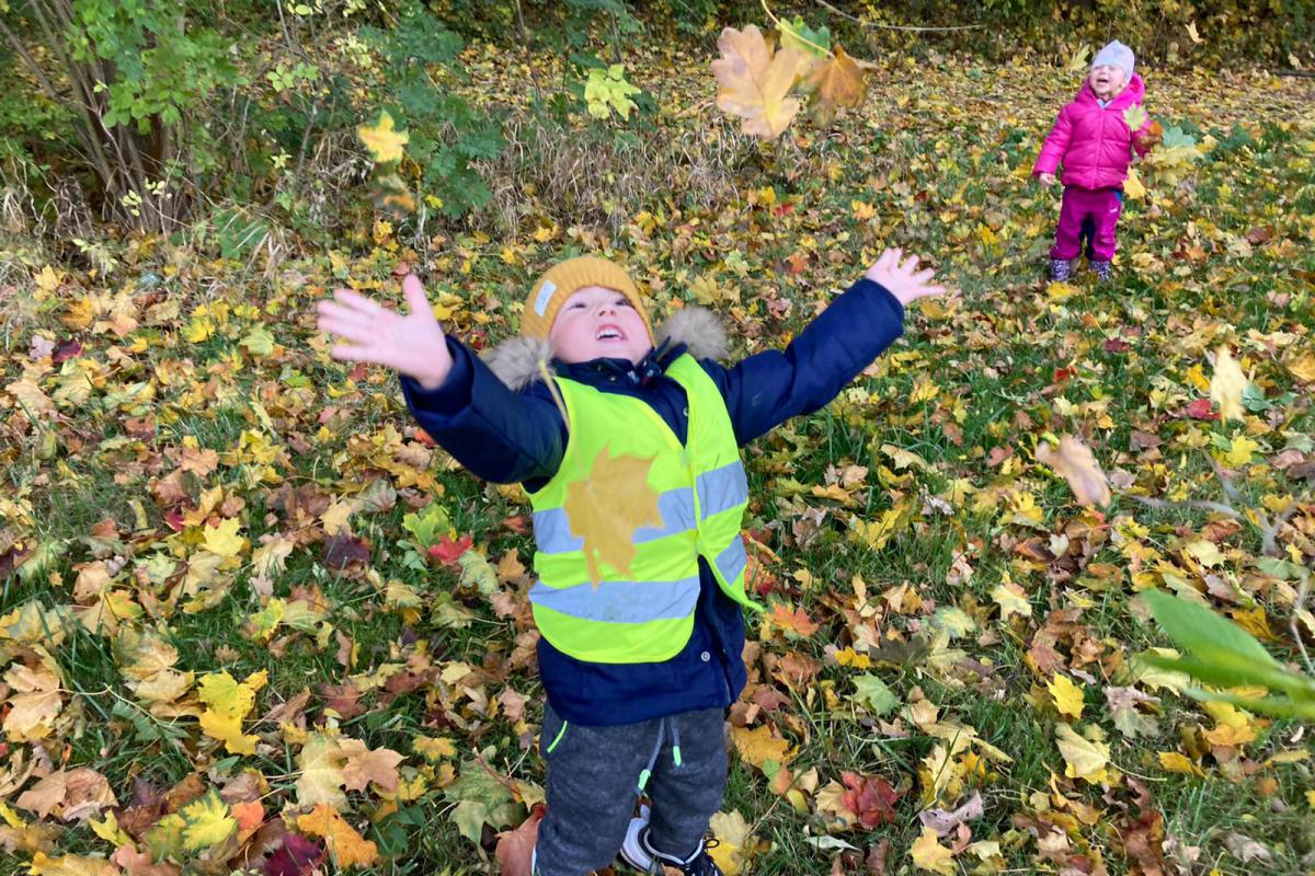 Soukromá Mateřská škola - Pro Family s.r.o.