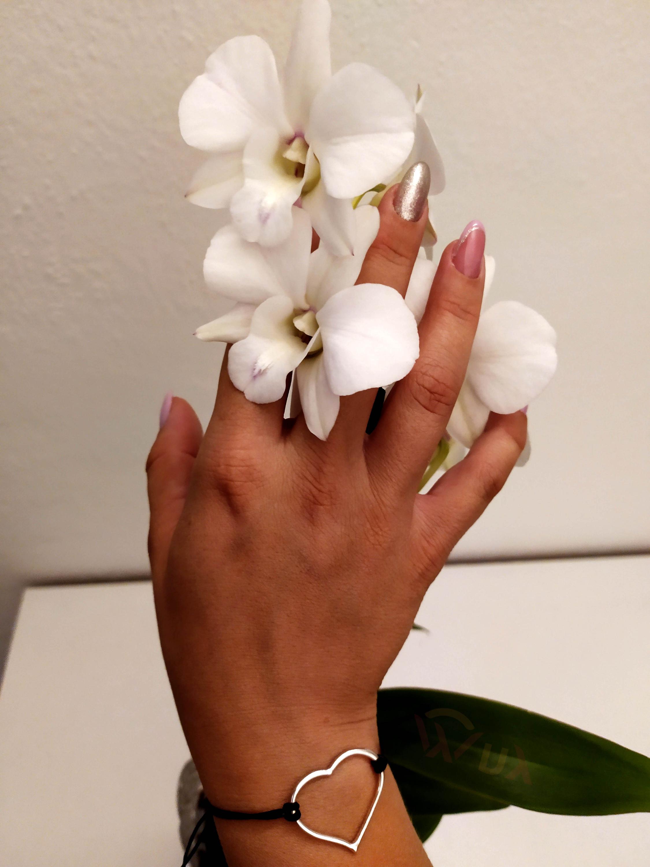 Wux-naramky.cz foto 3