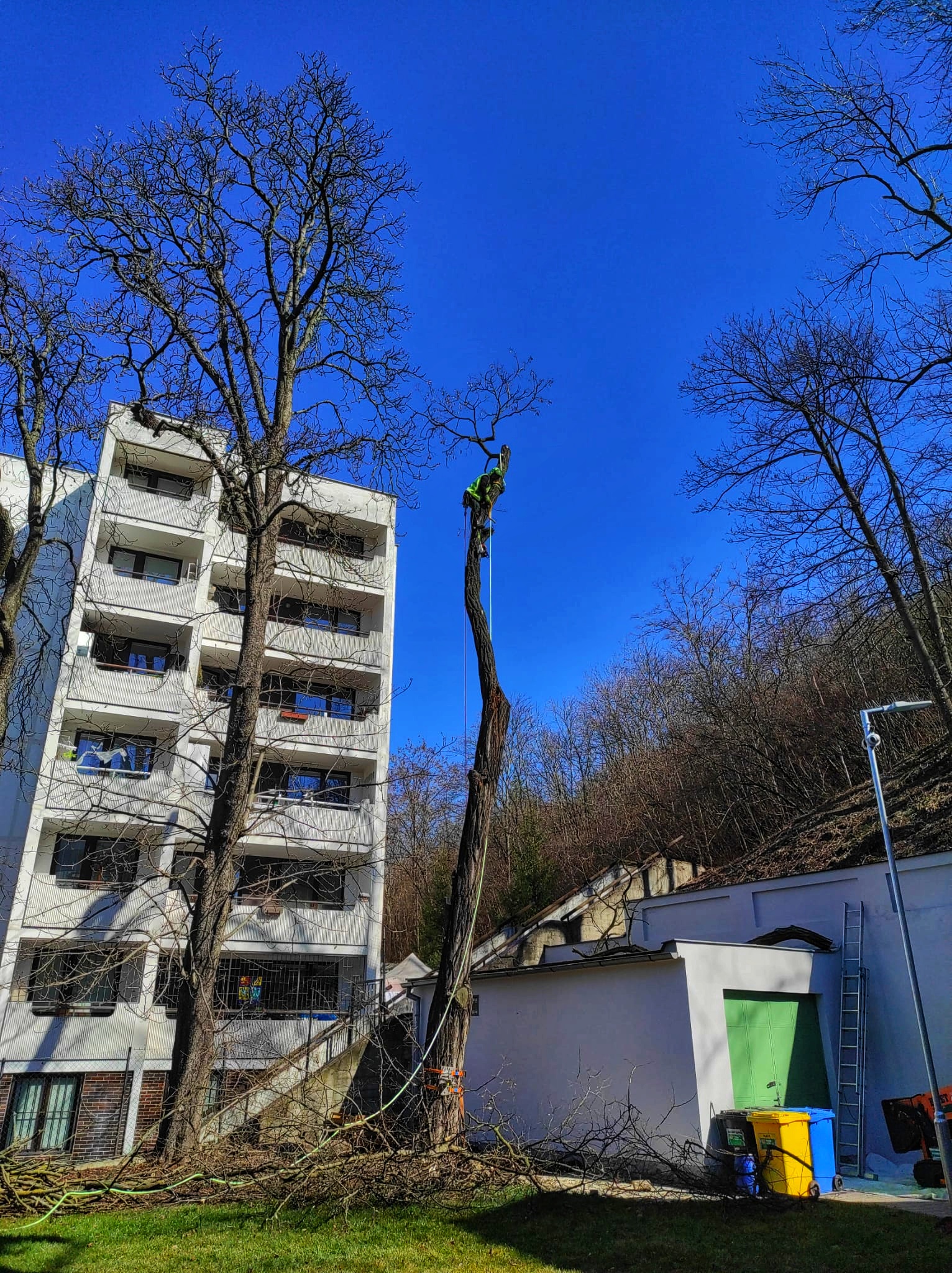 ARBO Šanov CZ s.r.o. foto 2