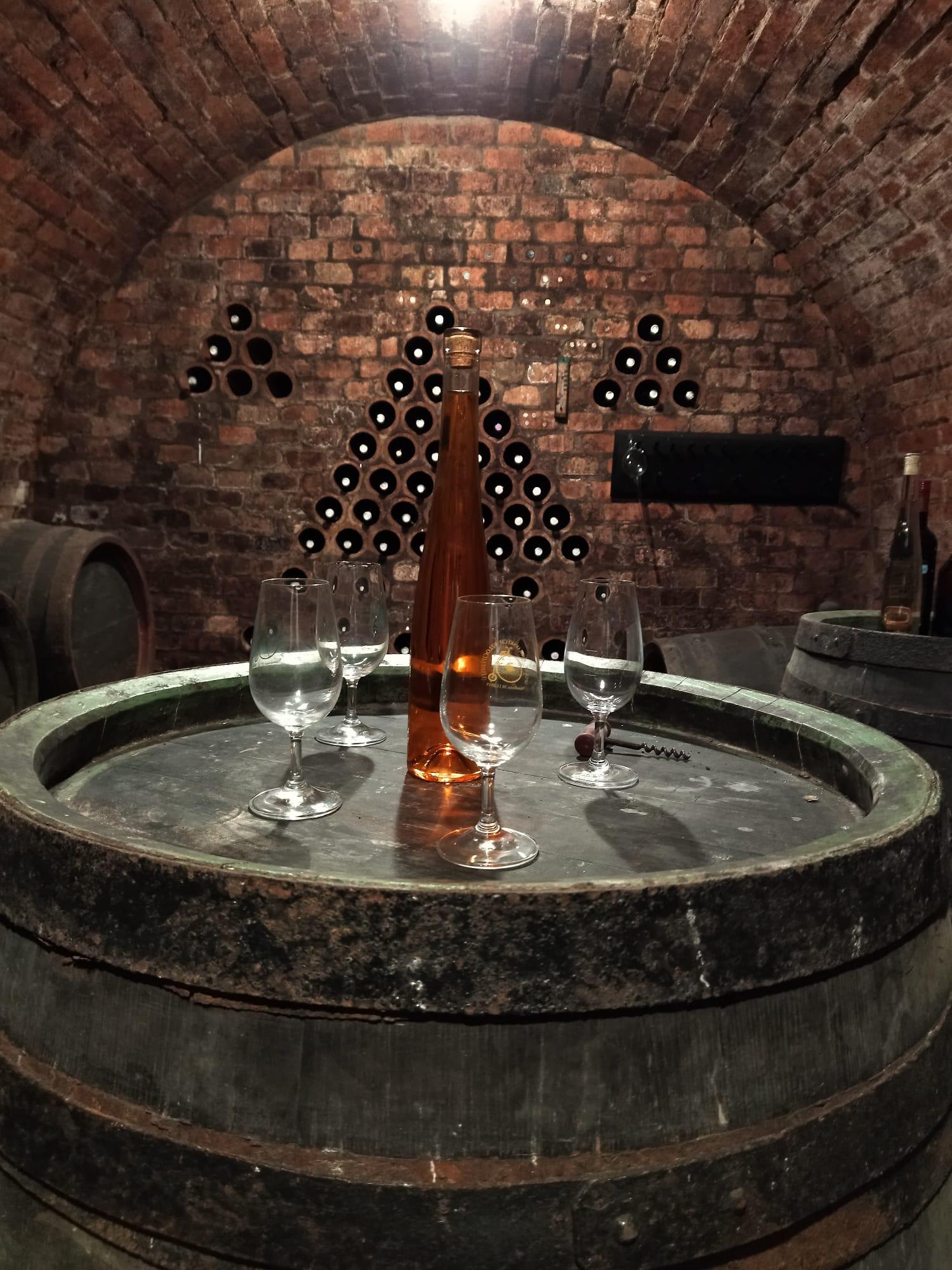 Ubytování na Jižní Moravě foto 5