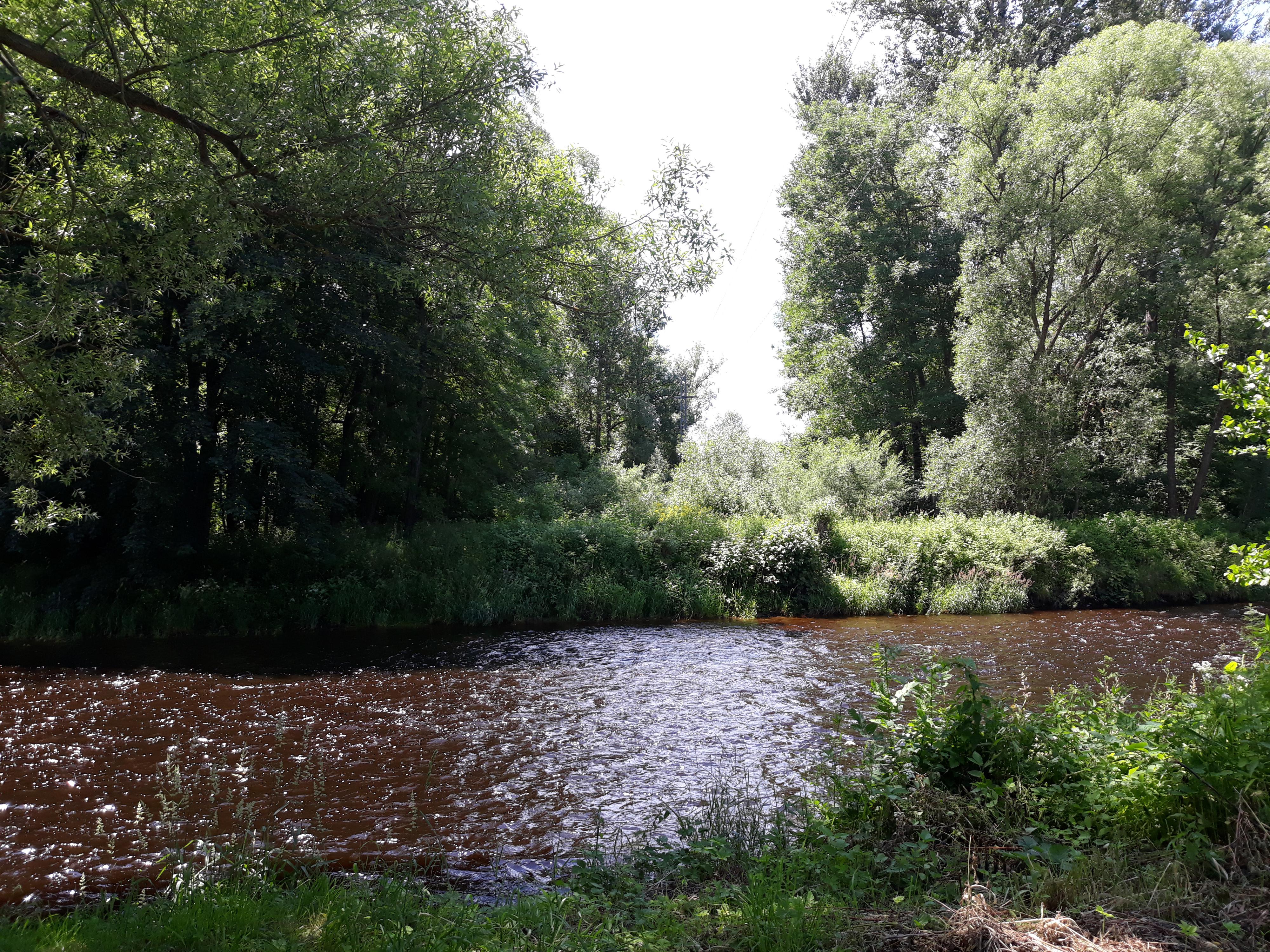 Dětský vodácký tábor Čepice foto 2