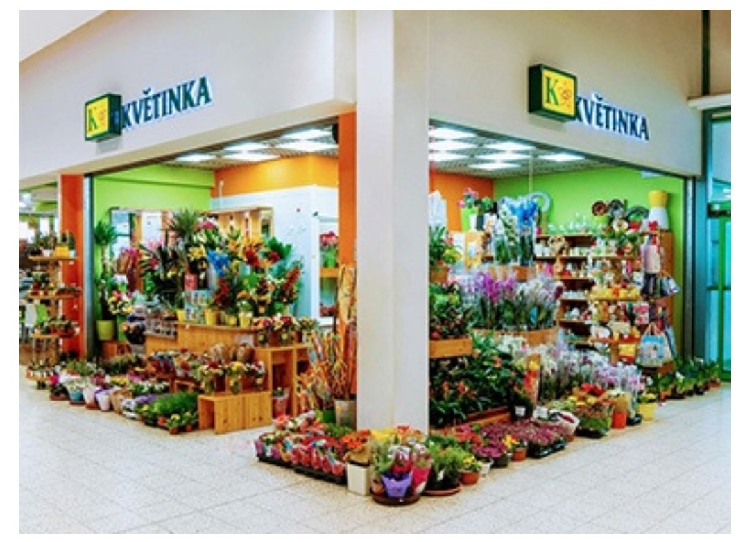 BL KVĚTINKA foto 2