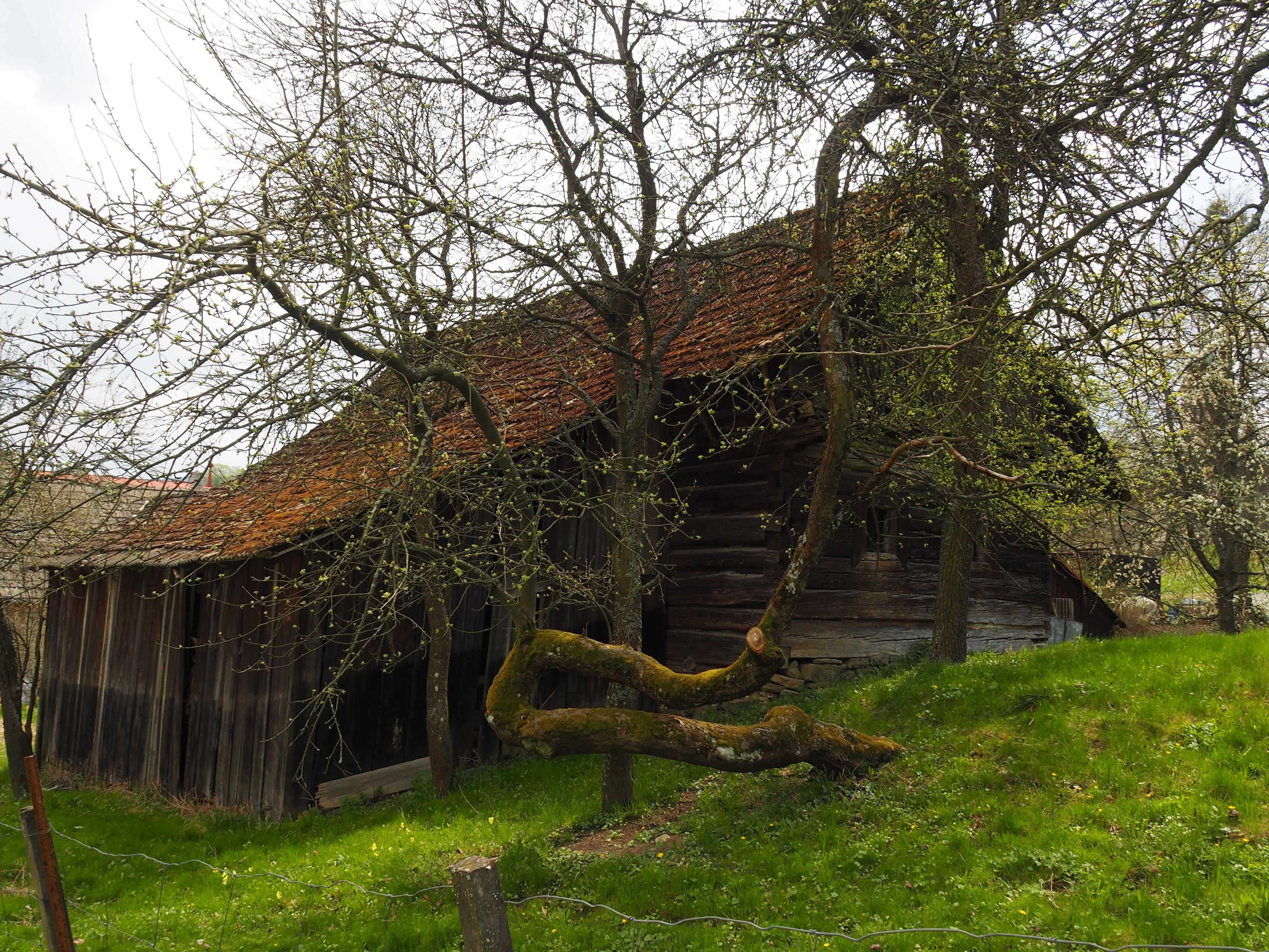 Pozděchov - obec foto 3