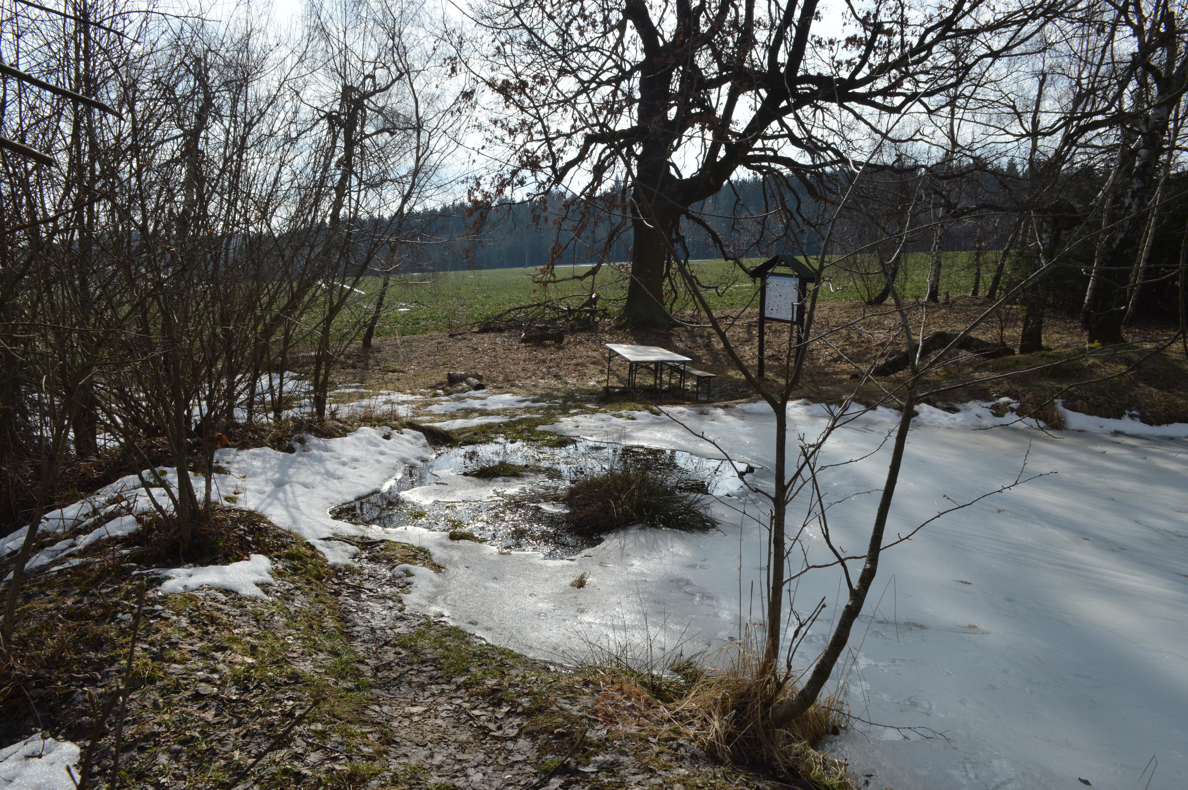 Ekopenzion Chaloupky Kněžice foto 5