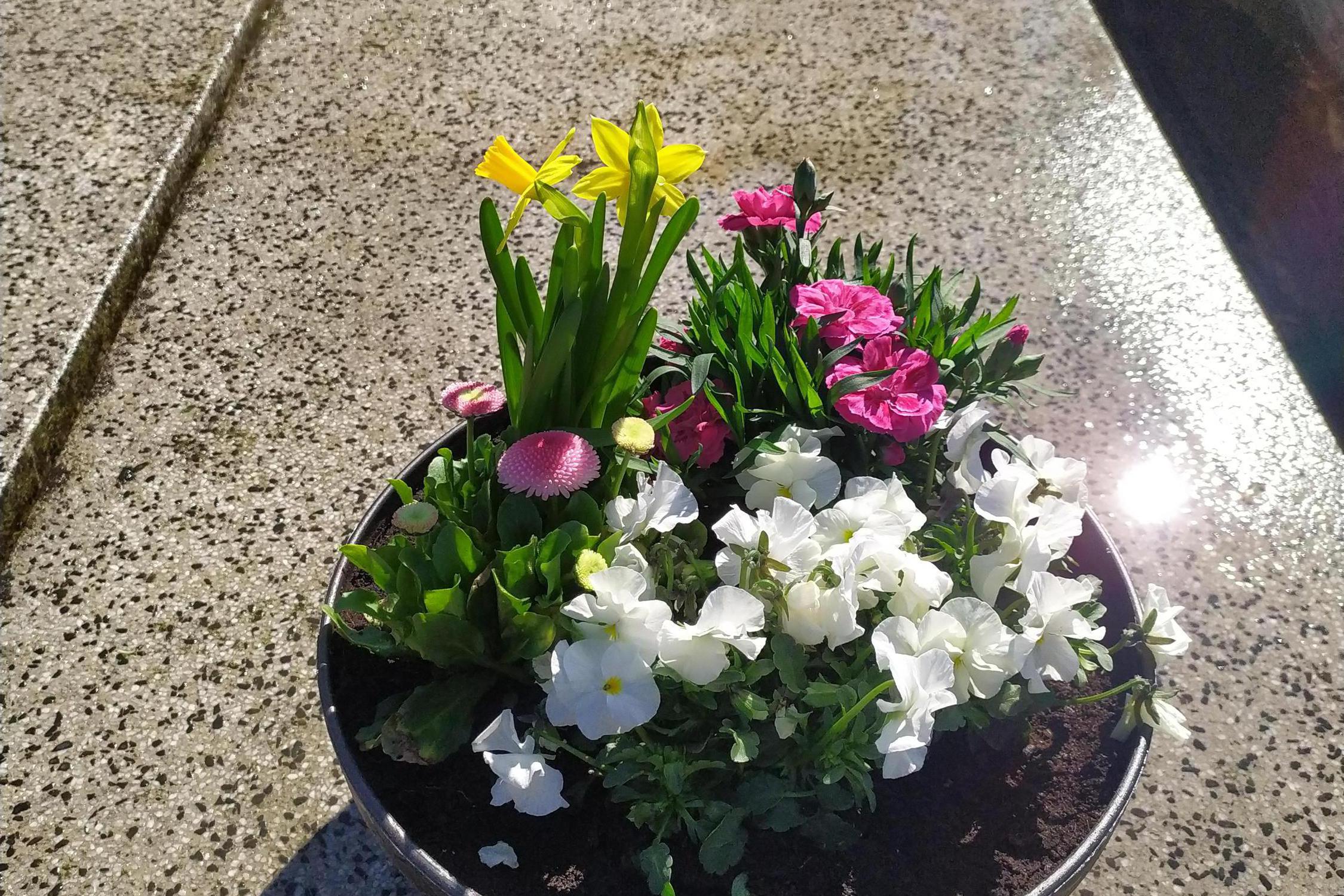 Péče o hroby - Hana Hamrozyová