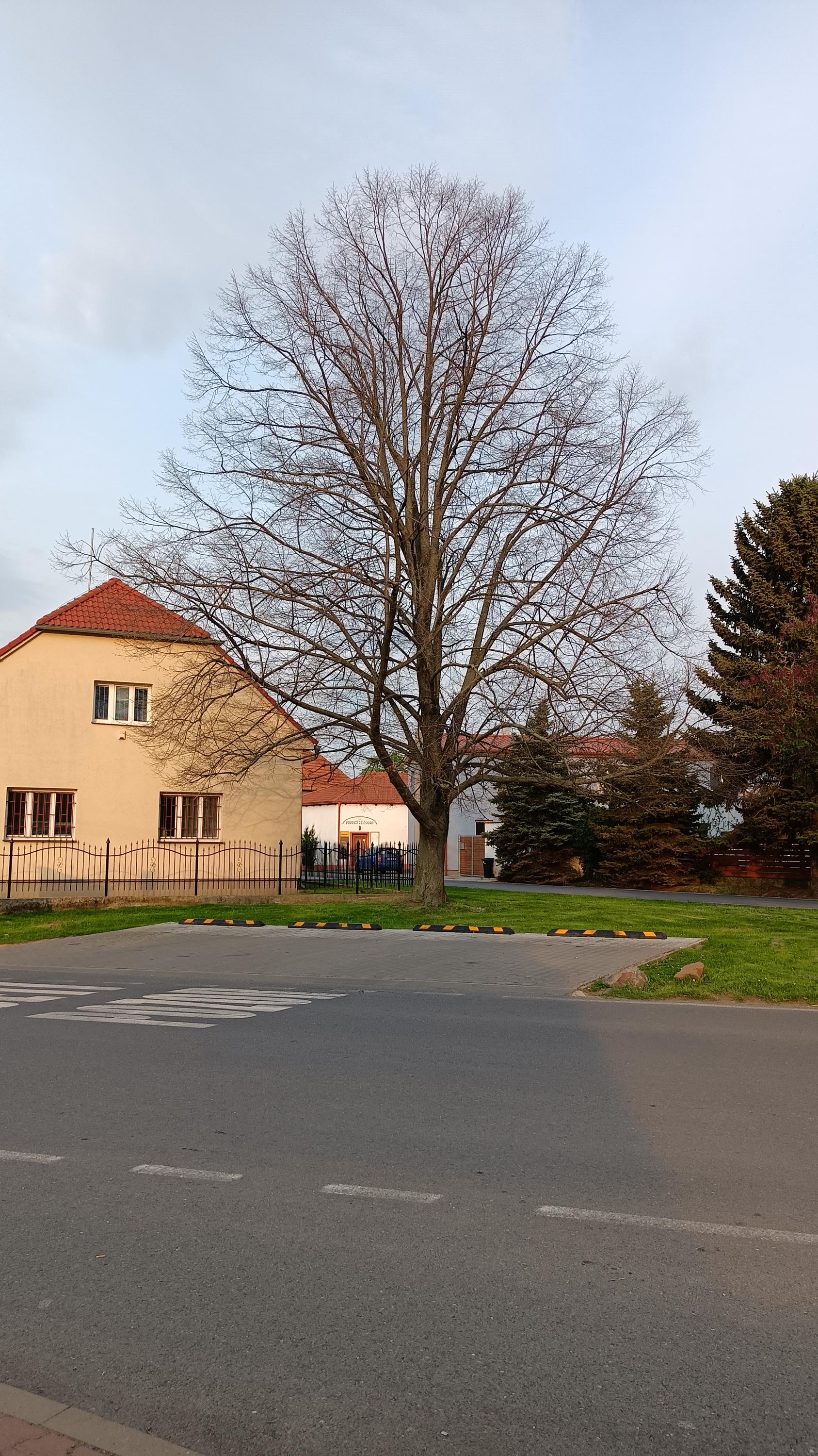 Nová Ves - obecní úřad foto 2
