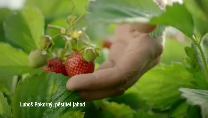 Berry servis foto 2 (náhled videa)