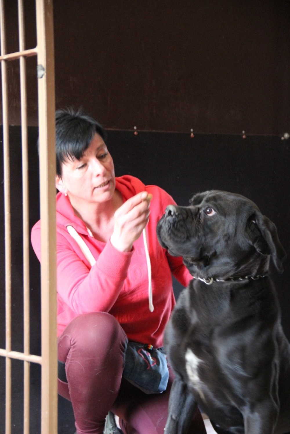 Radka Koubíčková, Rodinný pension Mazlíček foto 5