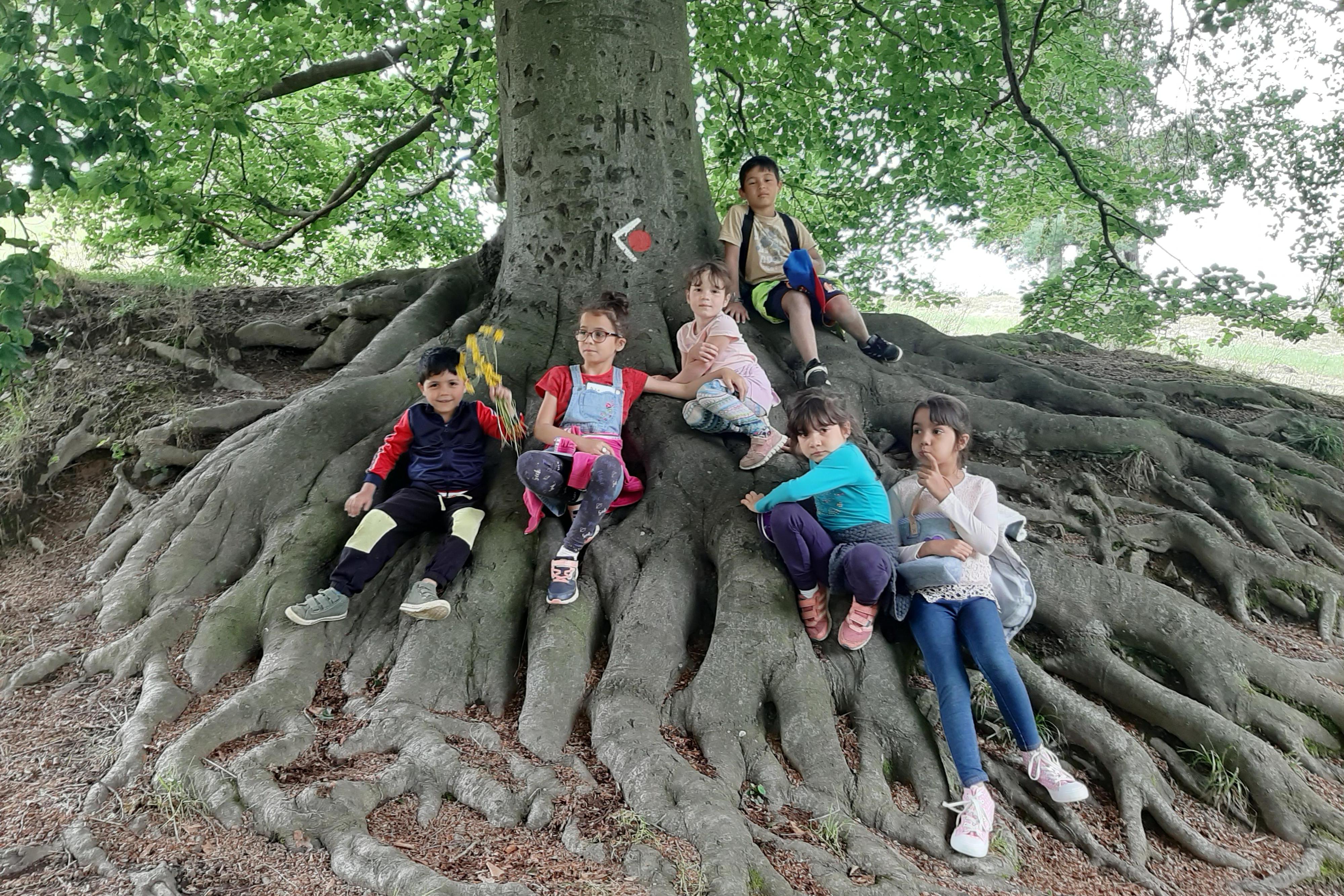 Dětský domov a školní jídelna, Melč