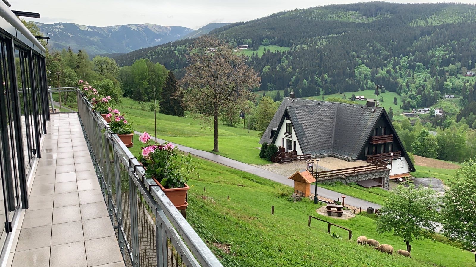 Amenity Restaurace Špindlerův Mlýn foto 5