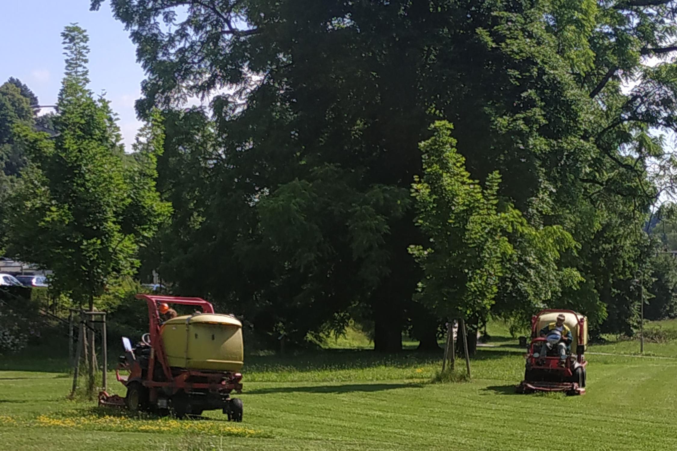 Údržba zeleně - Václav Kubát