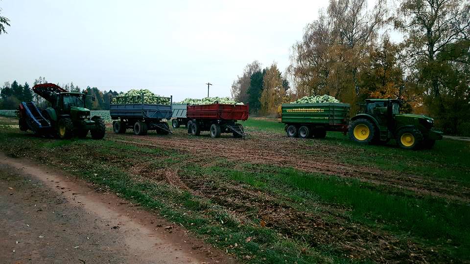 Farma Polák foto 3