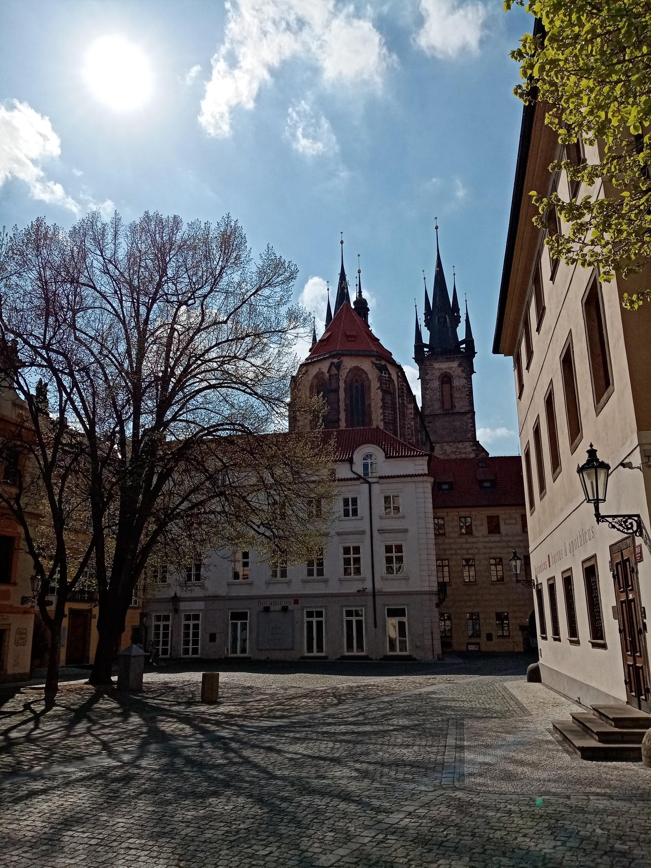 DIVADLO UNGELT foto 6