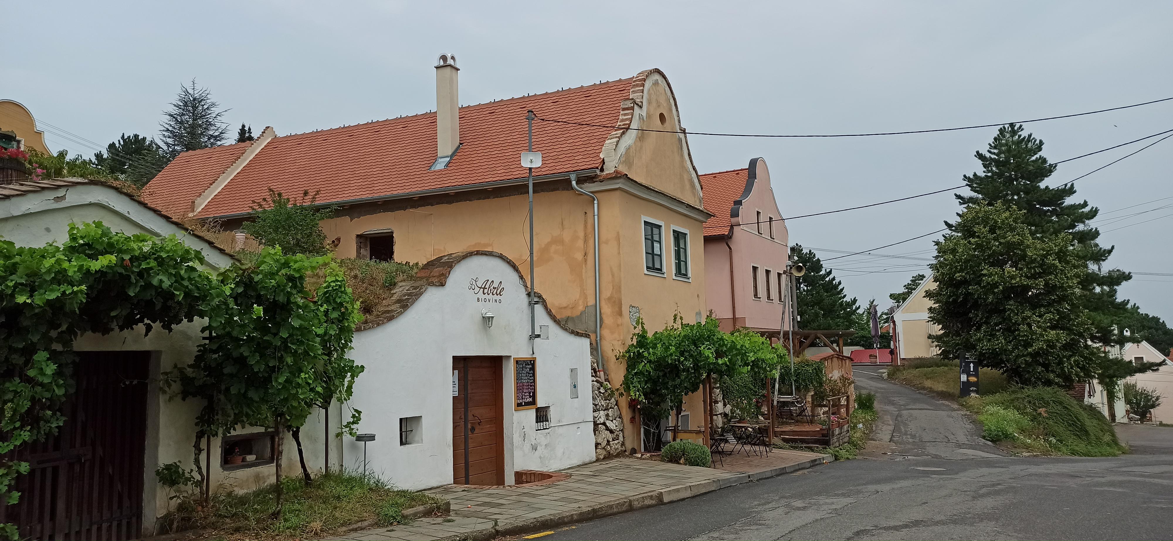 David Schneider foto 2