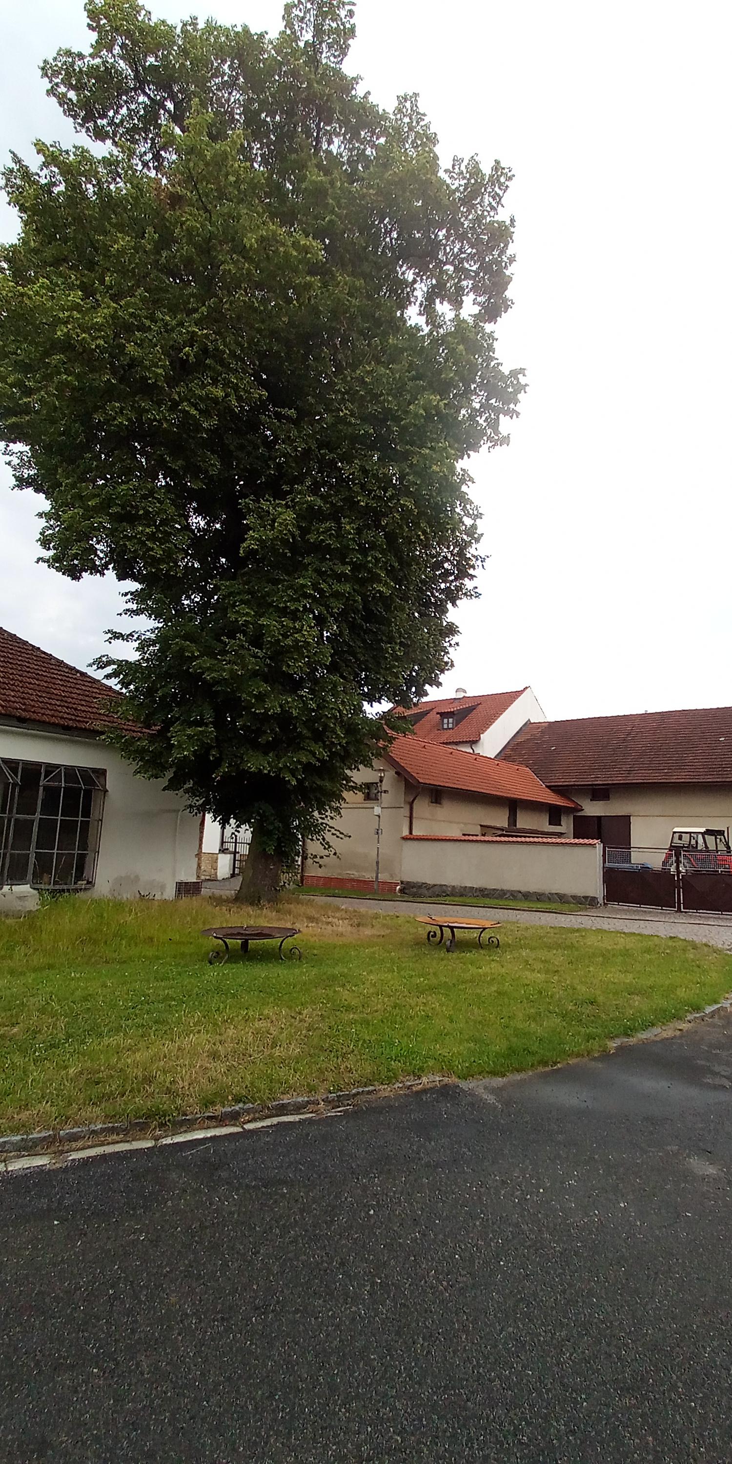 UMĚLECKÉ KOVÁŘSTVÍ Michal Jožák foto 2