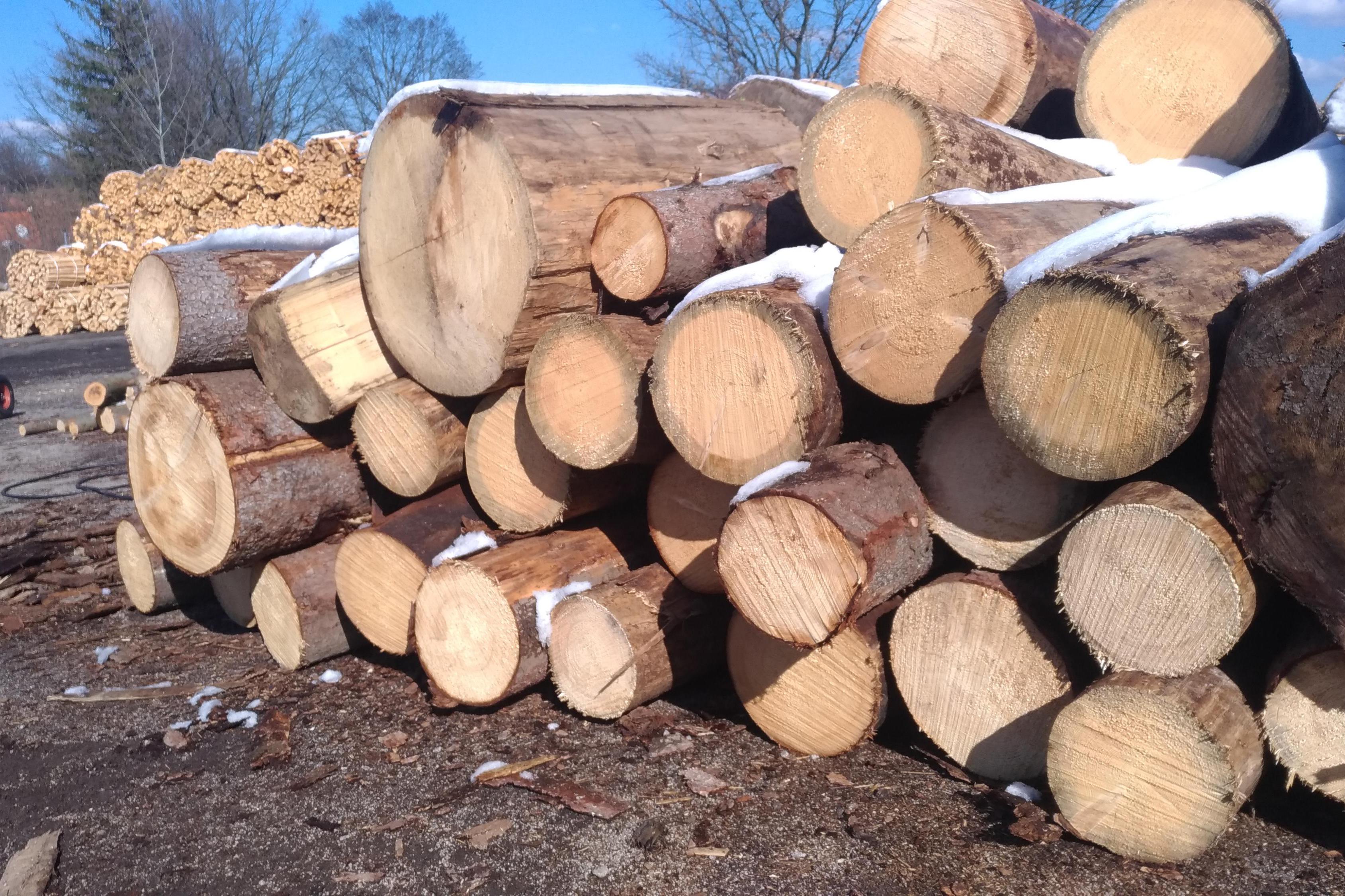 Smrk dvoumetrová kulatina