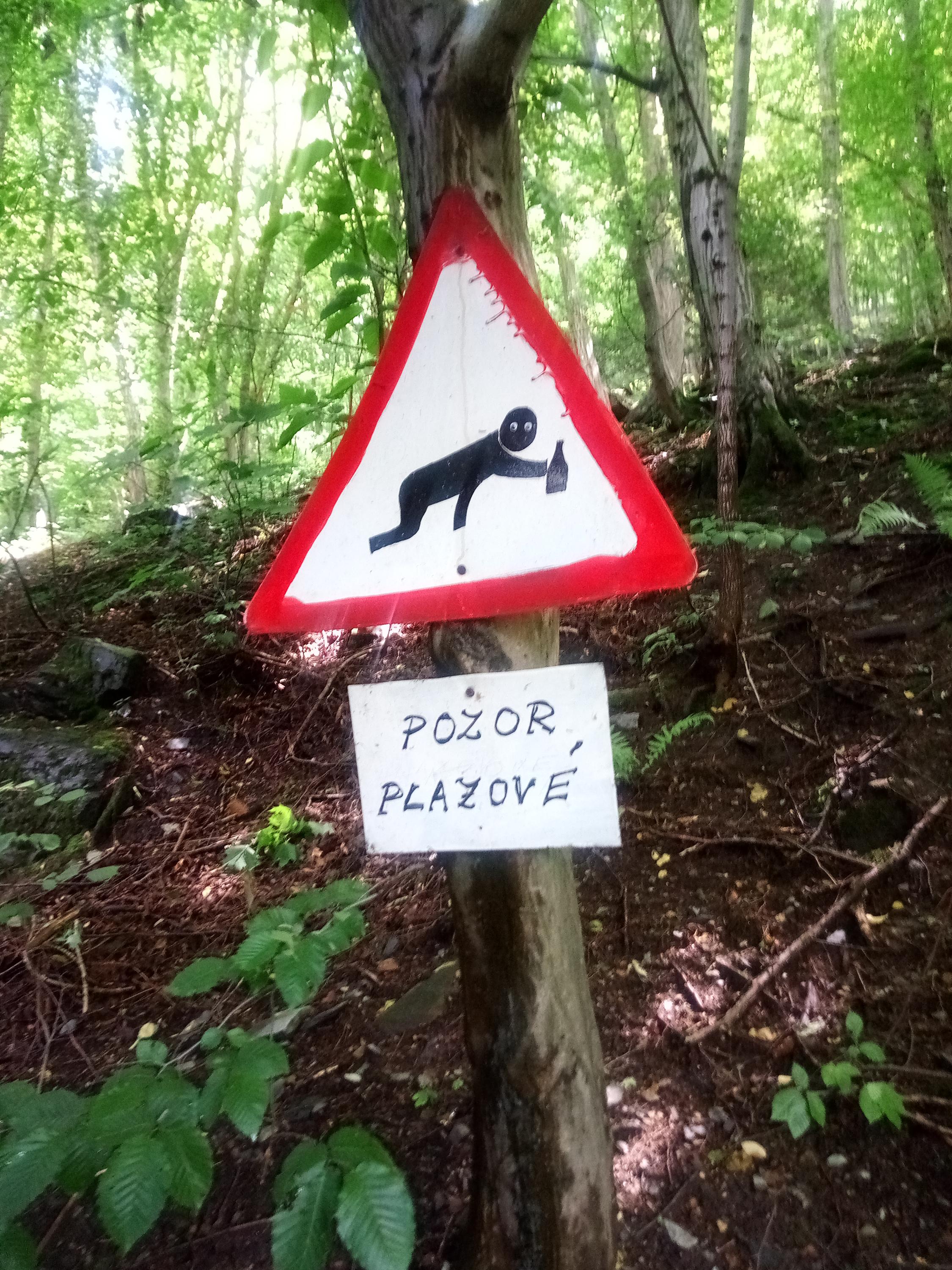 Klub Starcovy lesní restaurace foto 2