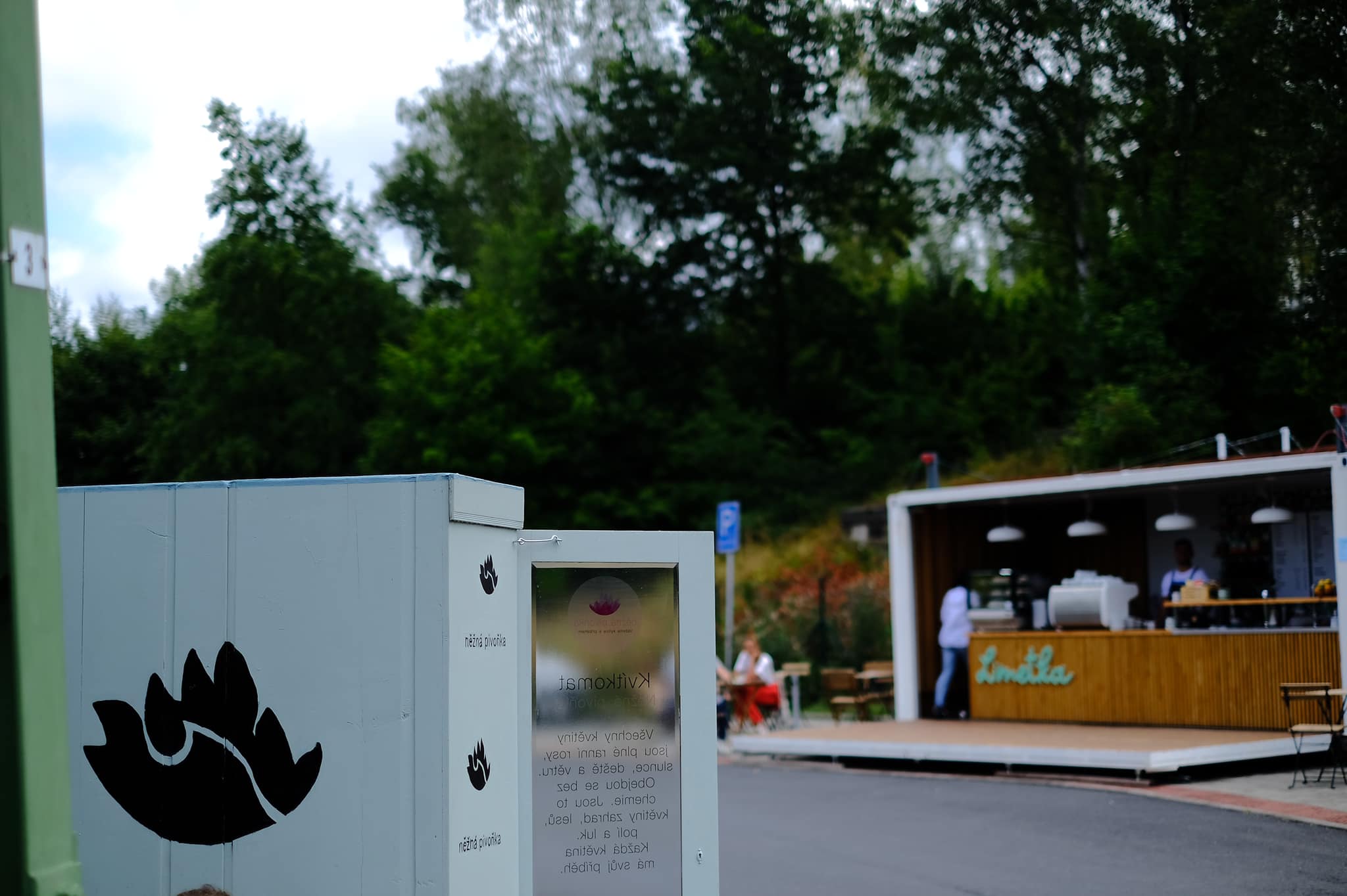 Něžná Pivoňka foto 4