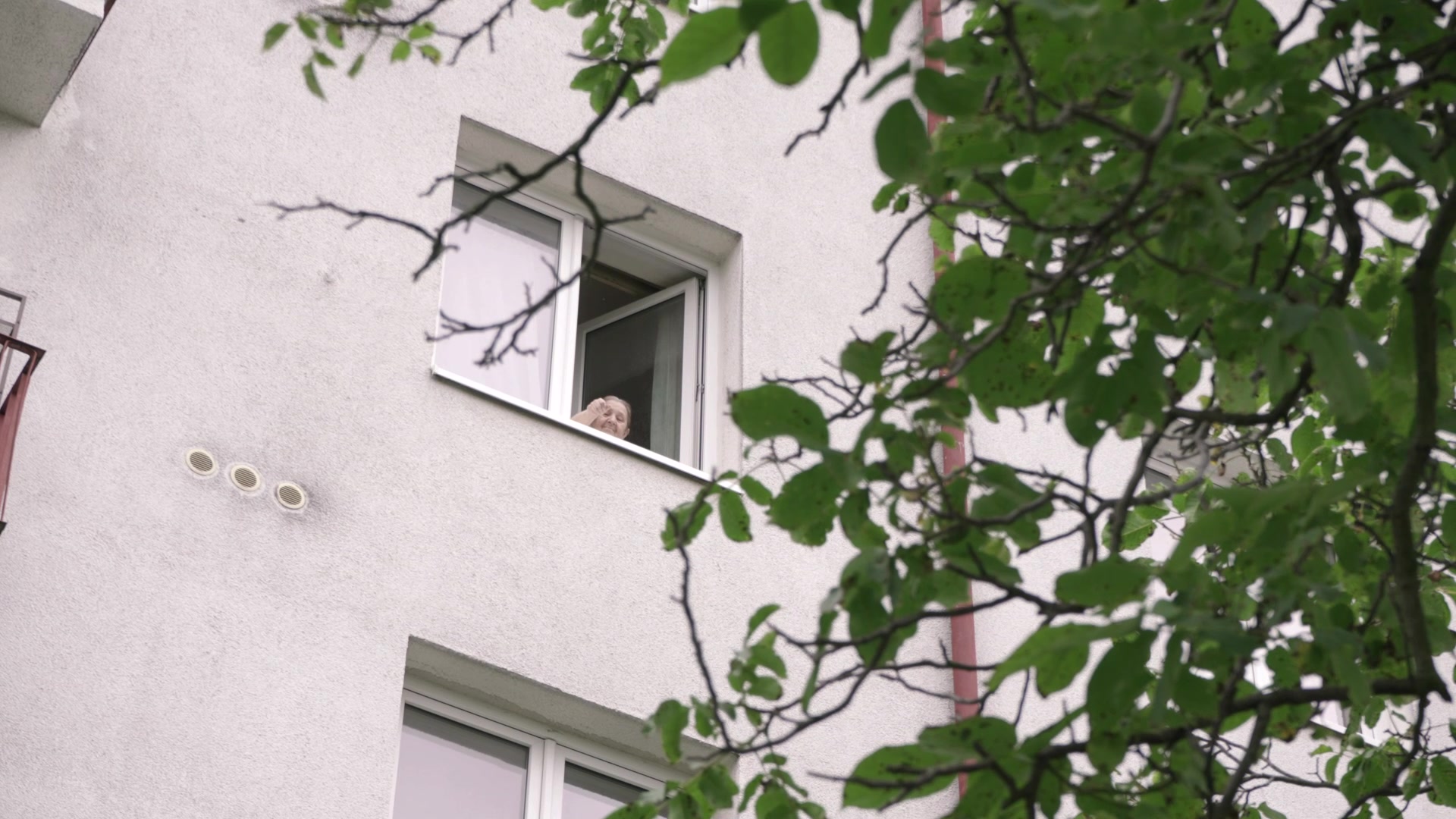 Nadace Krása pomoci foto 2 (náhled videa)