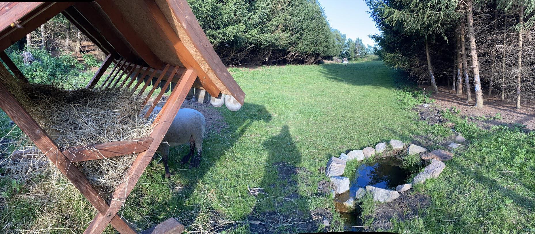 Kontaktní Zoopark - Farma Kapsa, z.s. foto 5