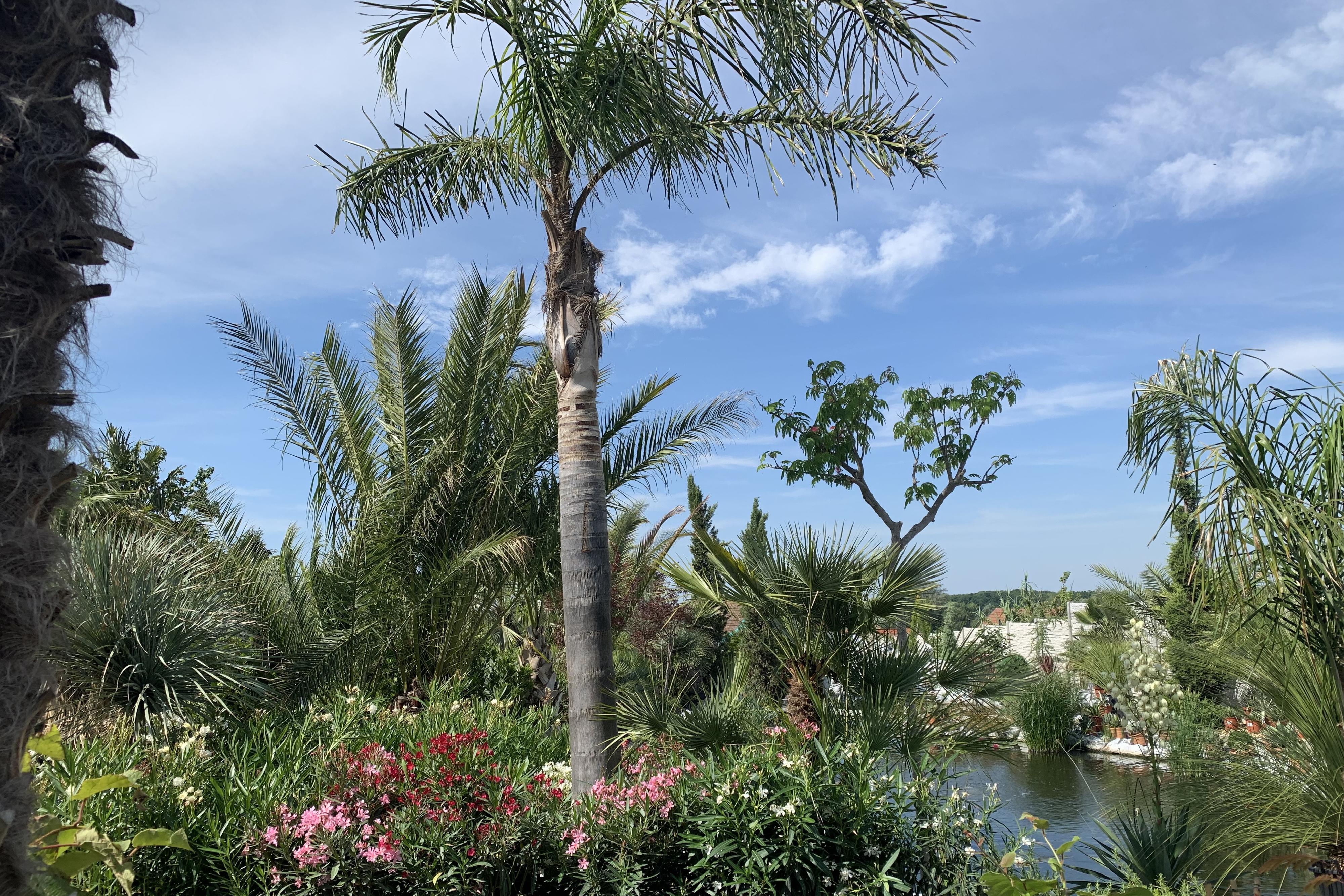 Exotická zahrada Přibice