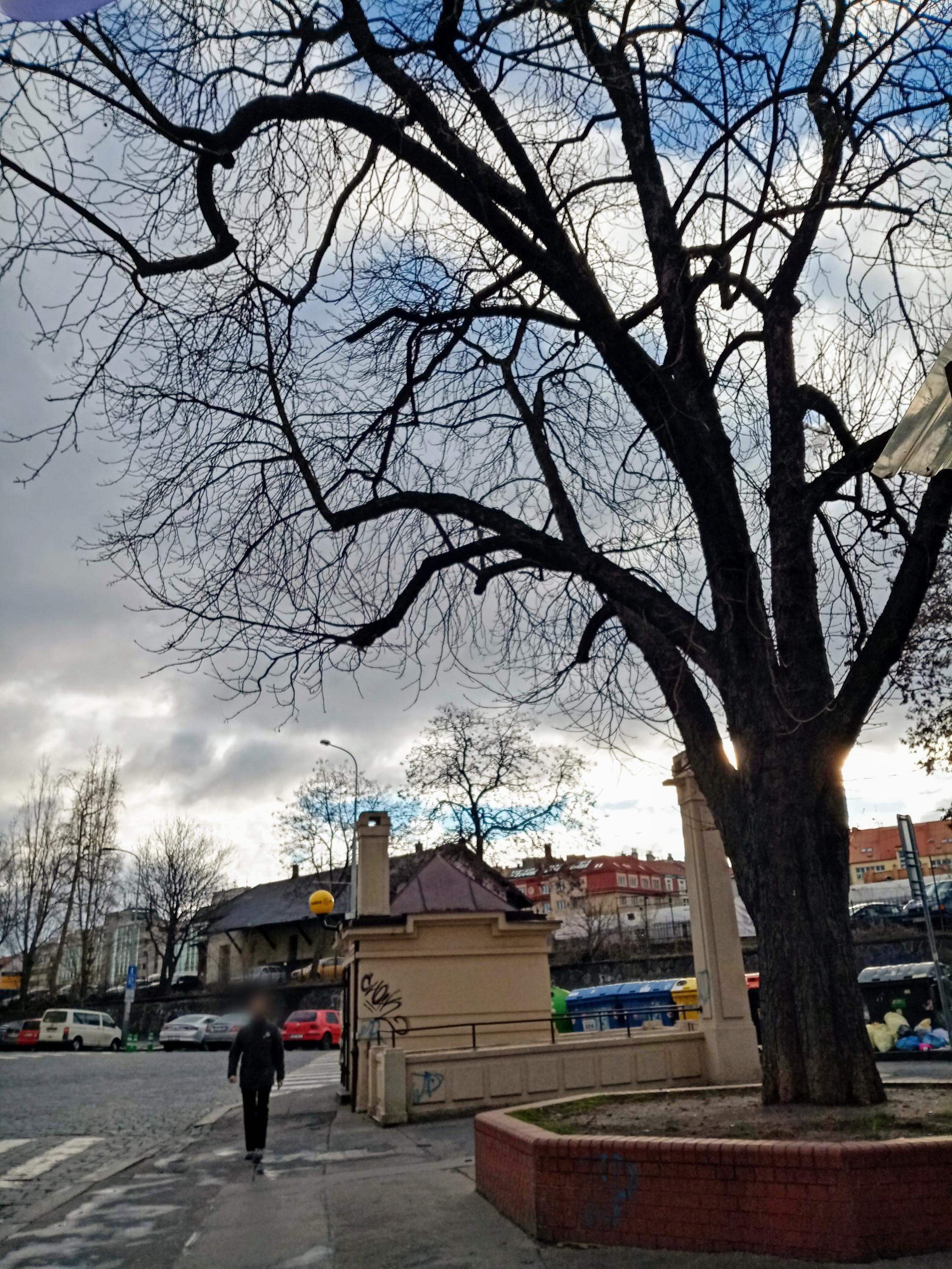 Trafika Floris foto 2