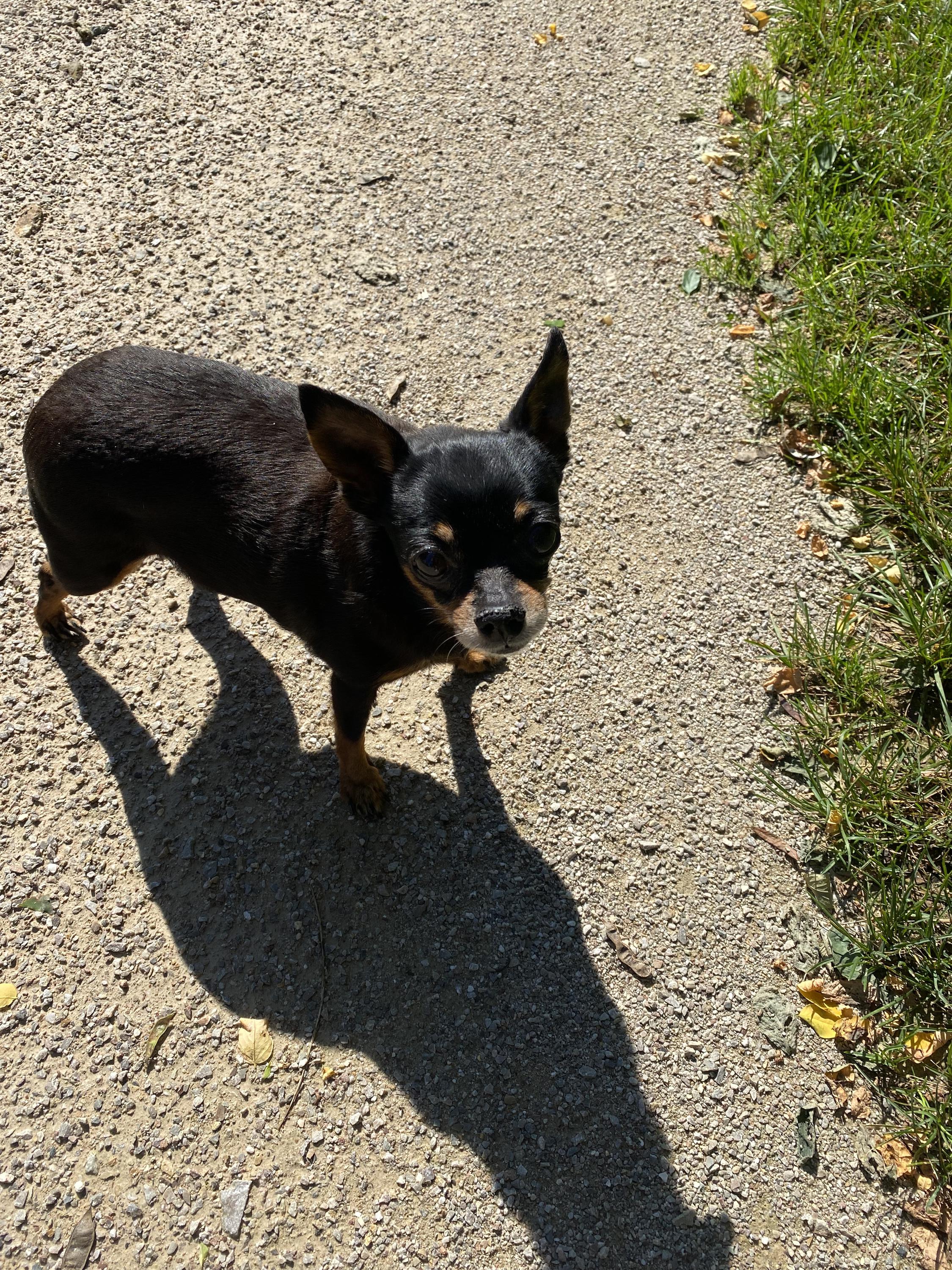 MVDr. Radek Svoboda foto 4