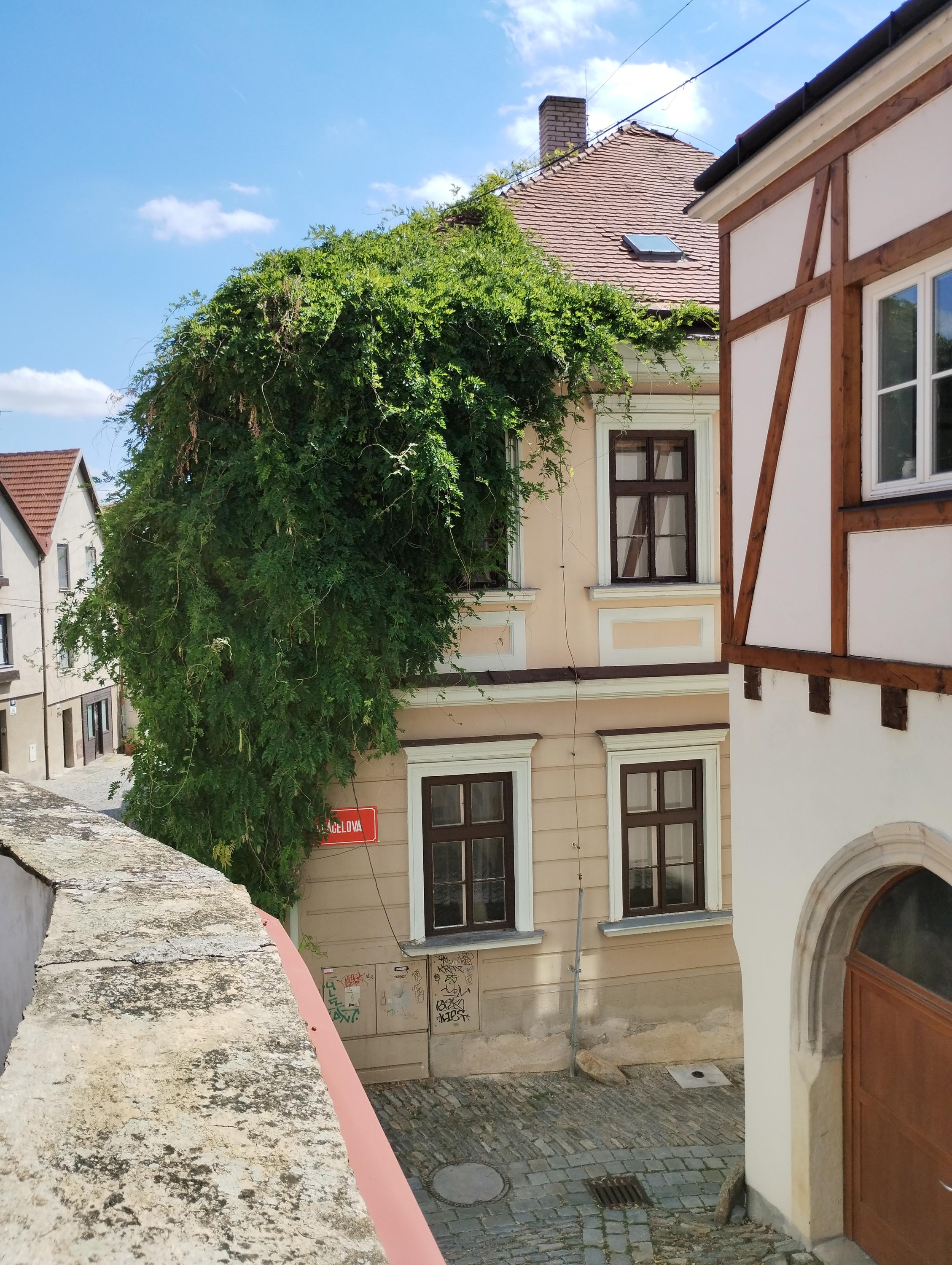 Historické apartmány foto 3