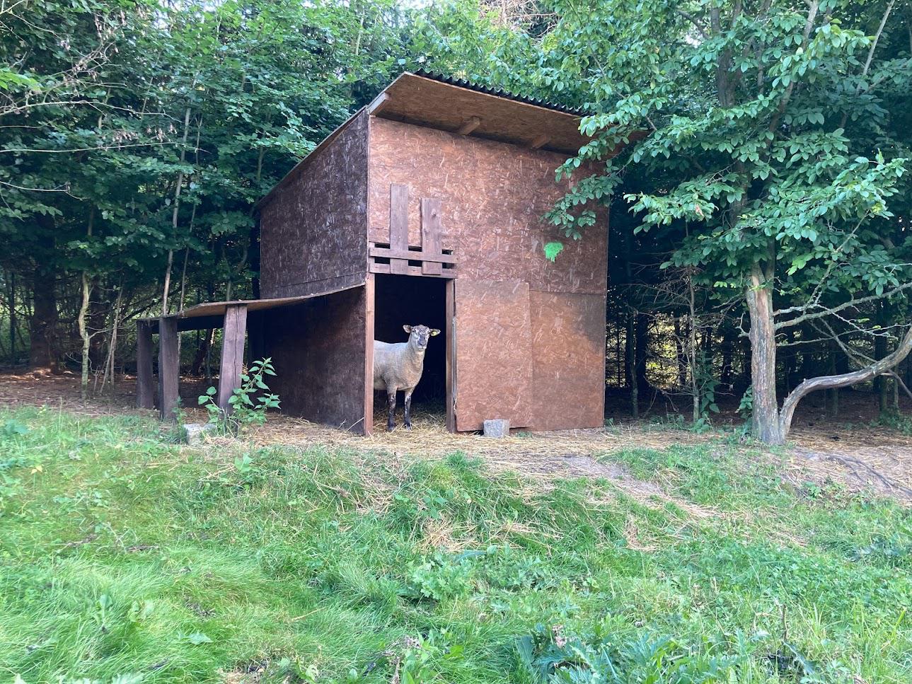 Kontaktní Zoopark - Farma Kapsa, z.s. foto 6