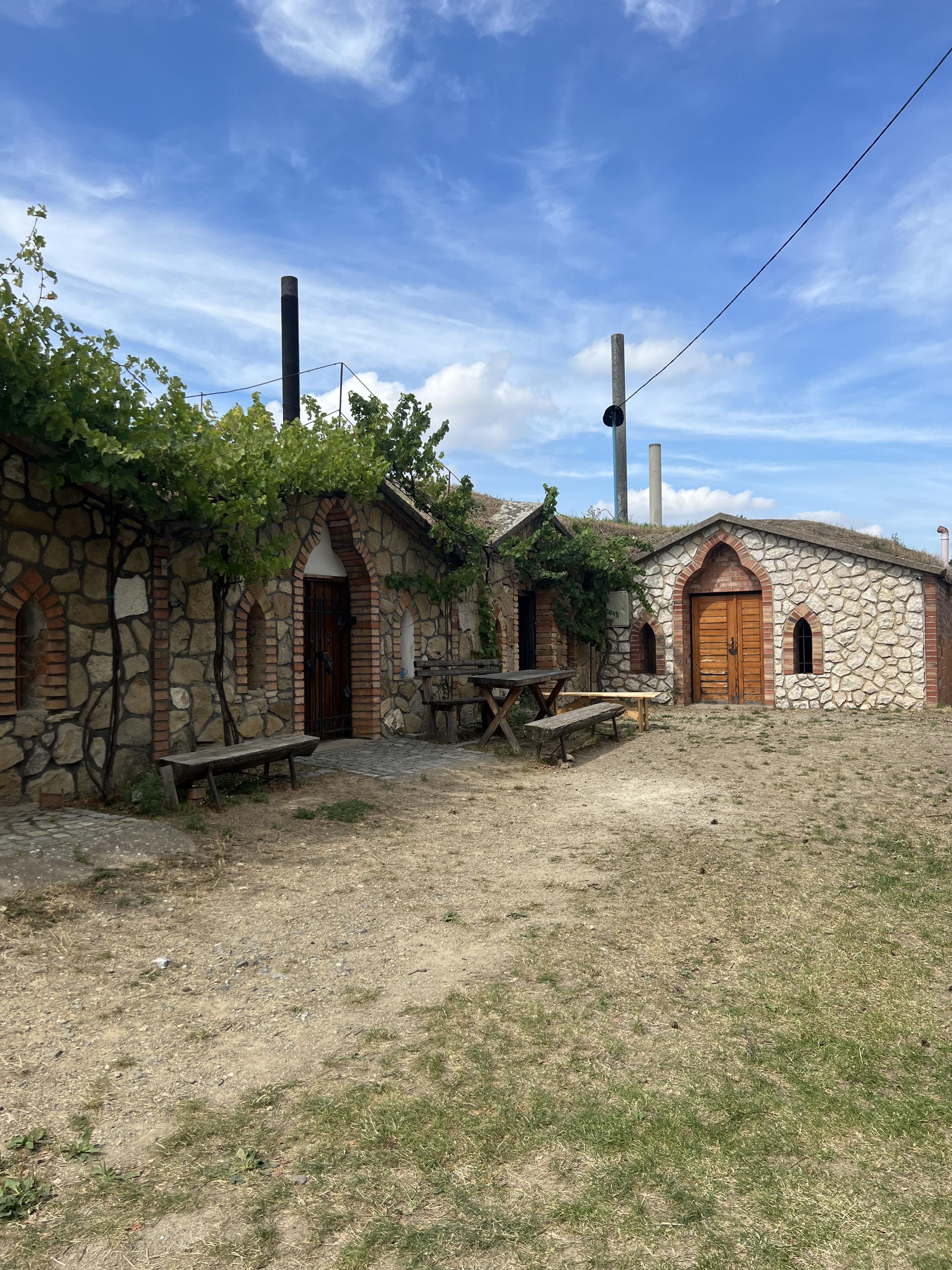 Vinařství Zálešák foto 2