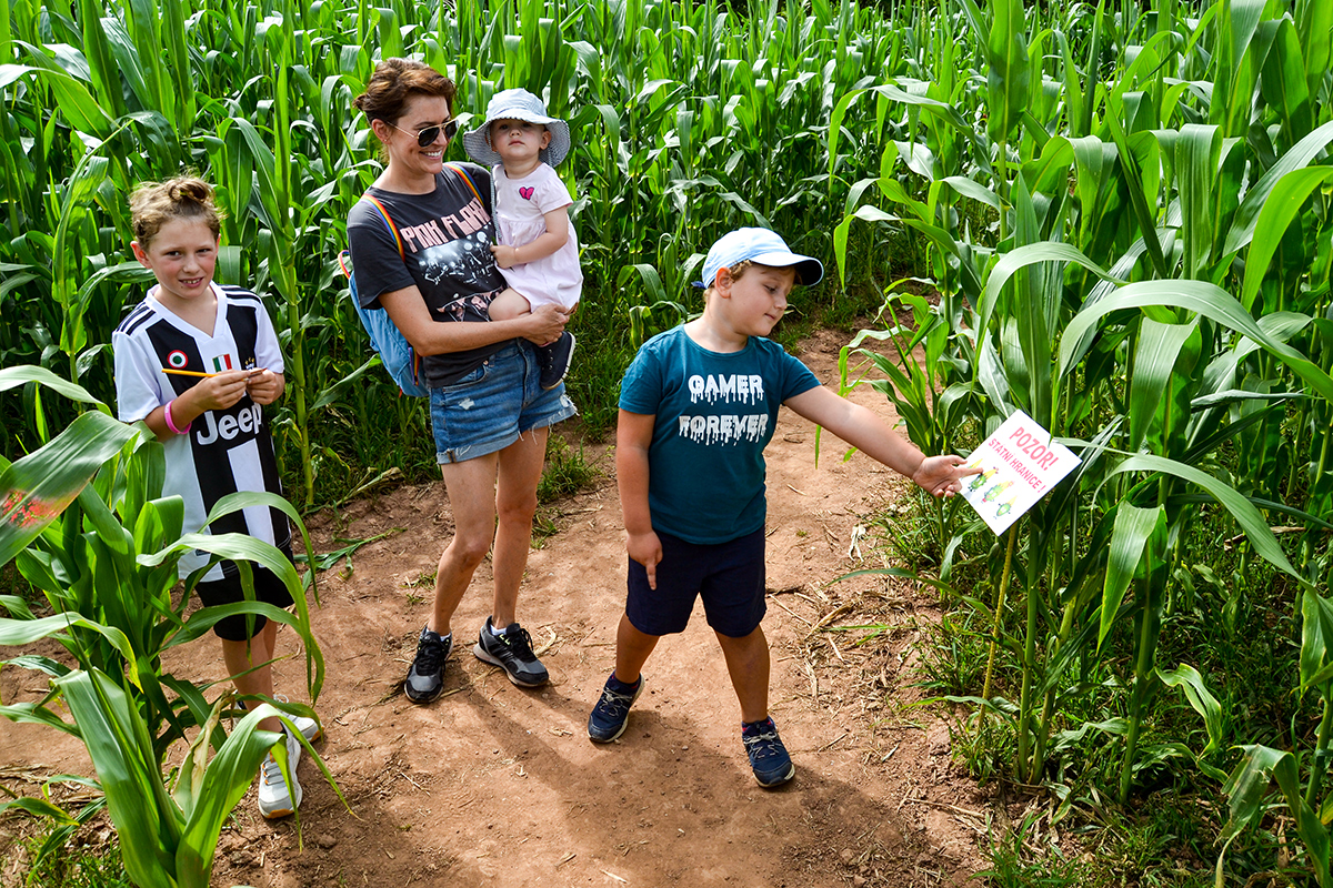 Kukuřičáci – Obří kukuřičné bludiště Brno - Žabovřesky