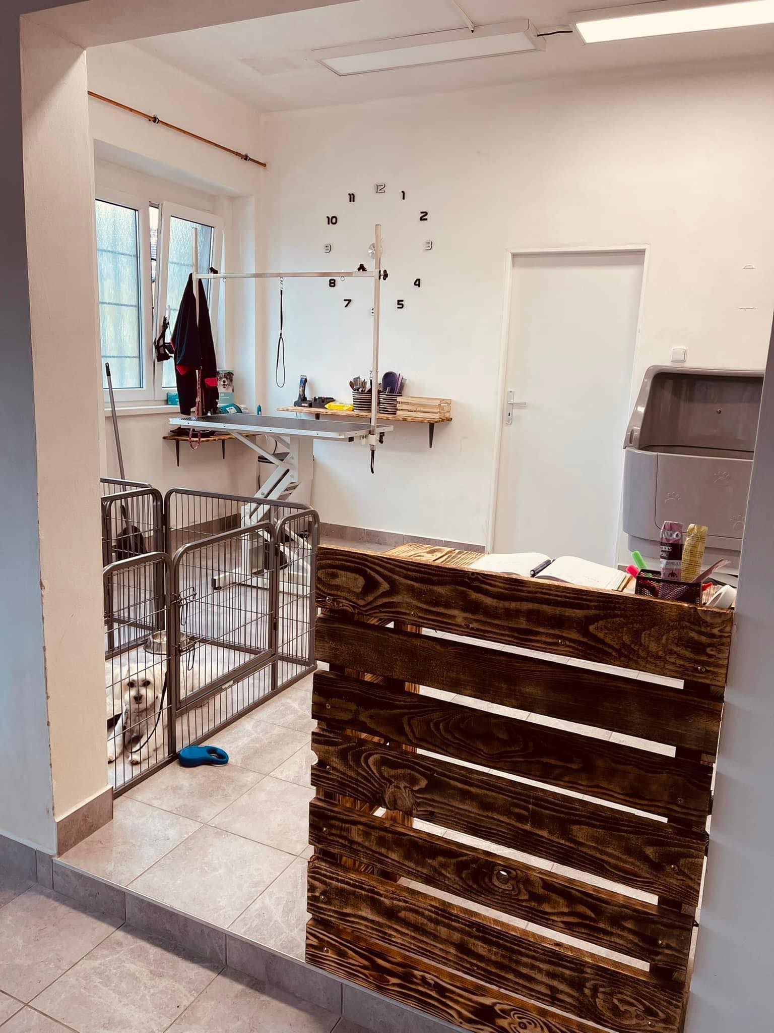 Psí salon Winter Diamond foto 3