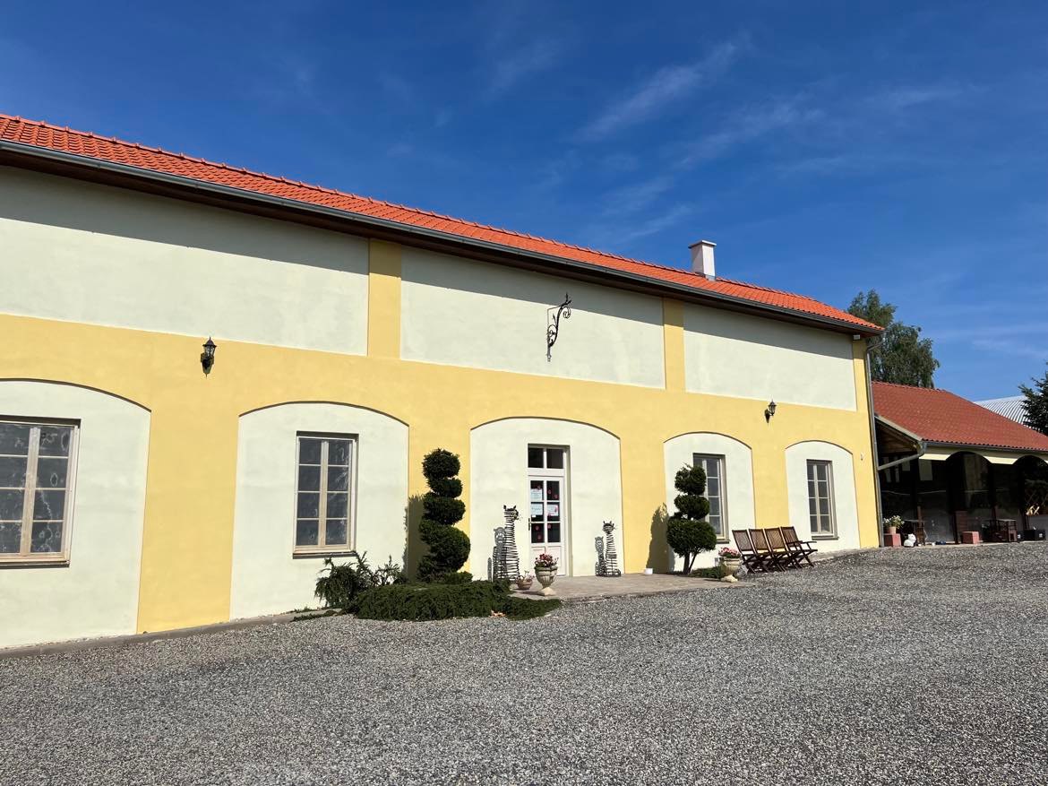 Kočičí útulek ALFONZ ÚMONÍN foto 4