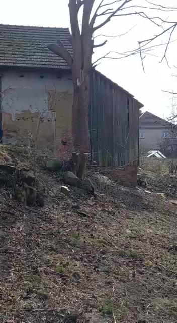 Zahradnické služby Rhizo foto 2 (náhled videa)