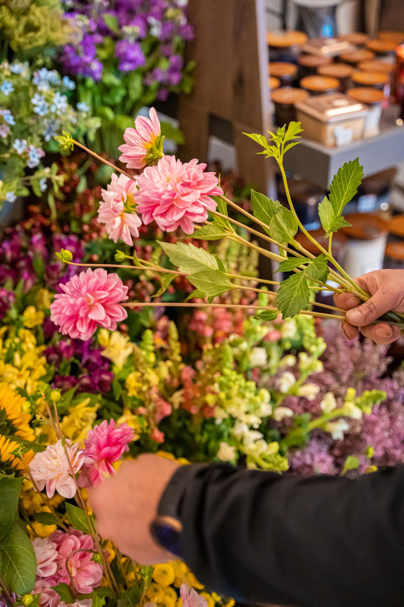 Z lásky kvítka foto 3