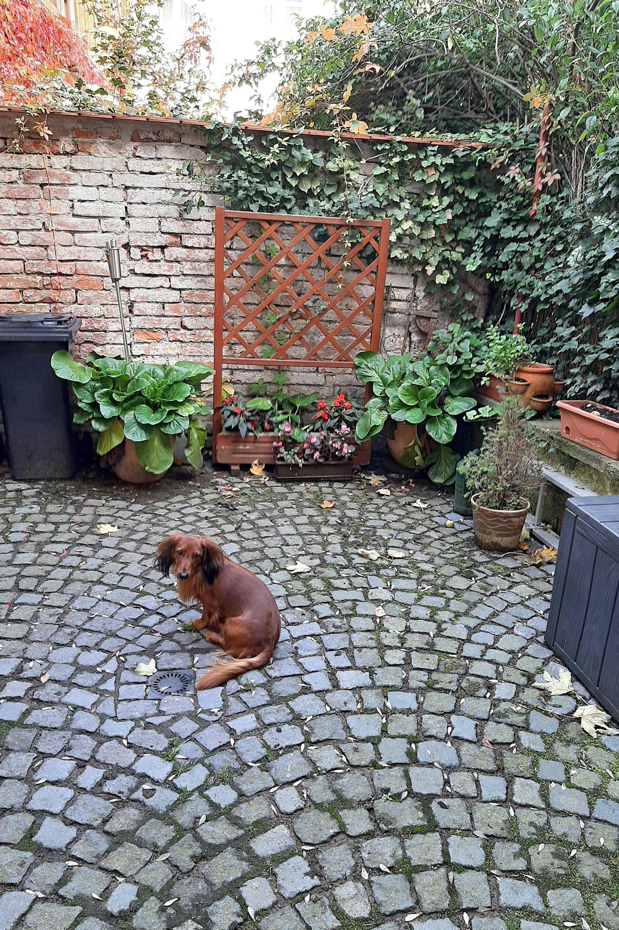 Café Havlíček Penzion foto 4