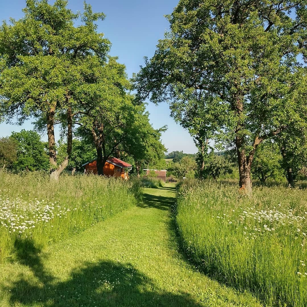 Lesánek z.ú. foto 4