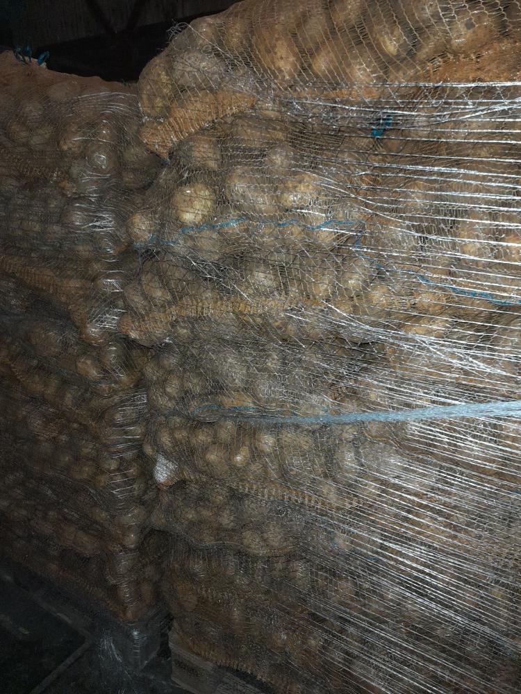 Bramborárna Lešná foto 5