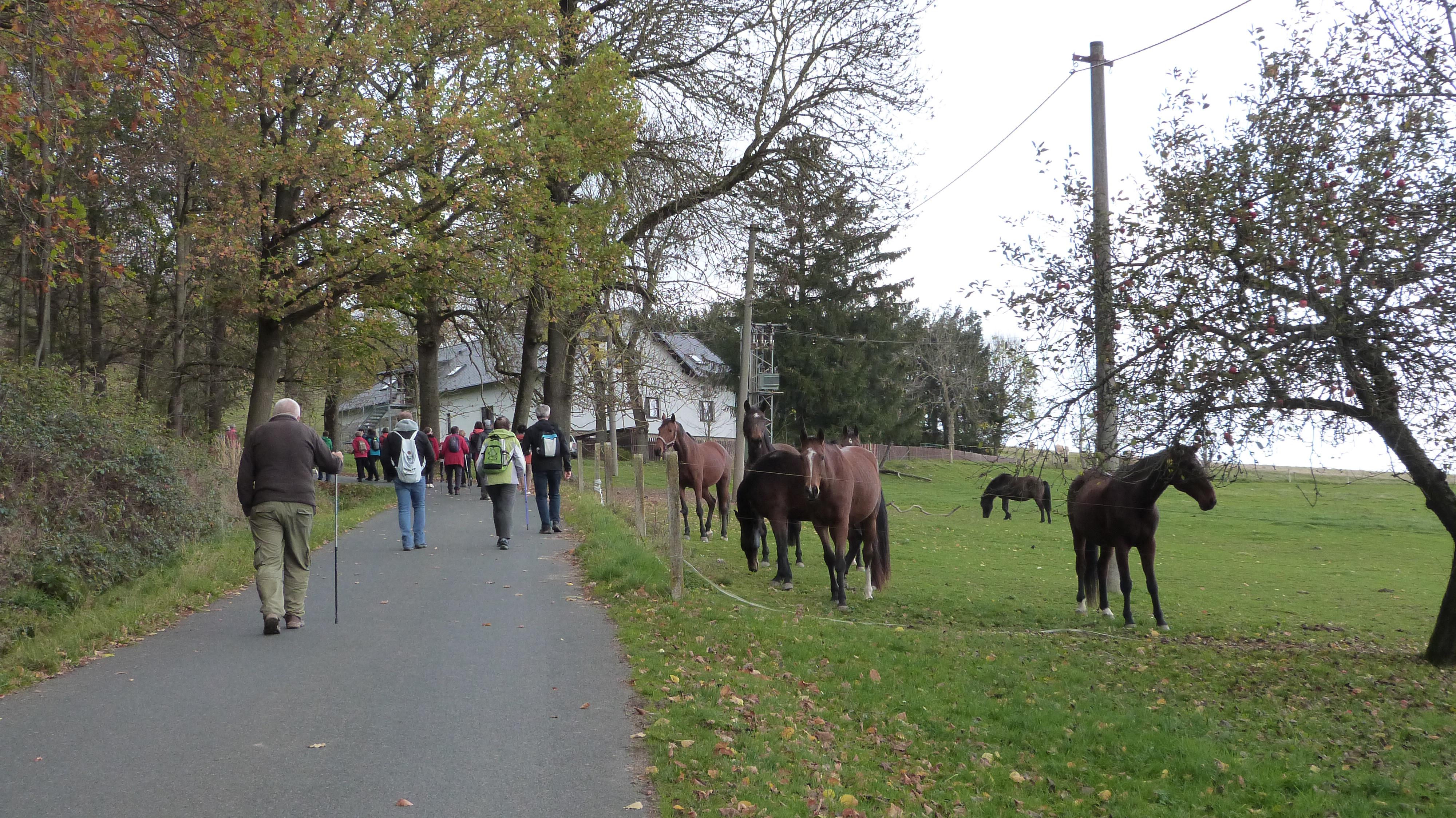 Penzion Pranty foto 5