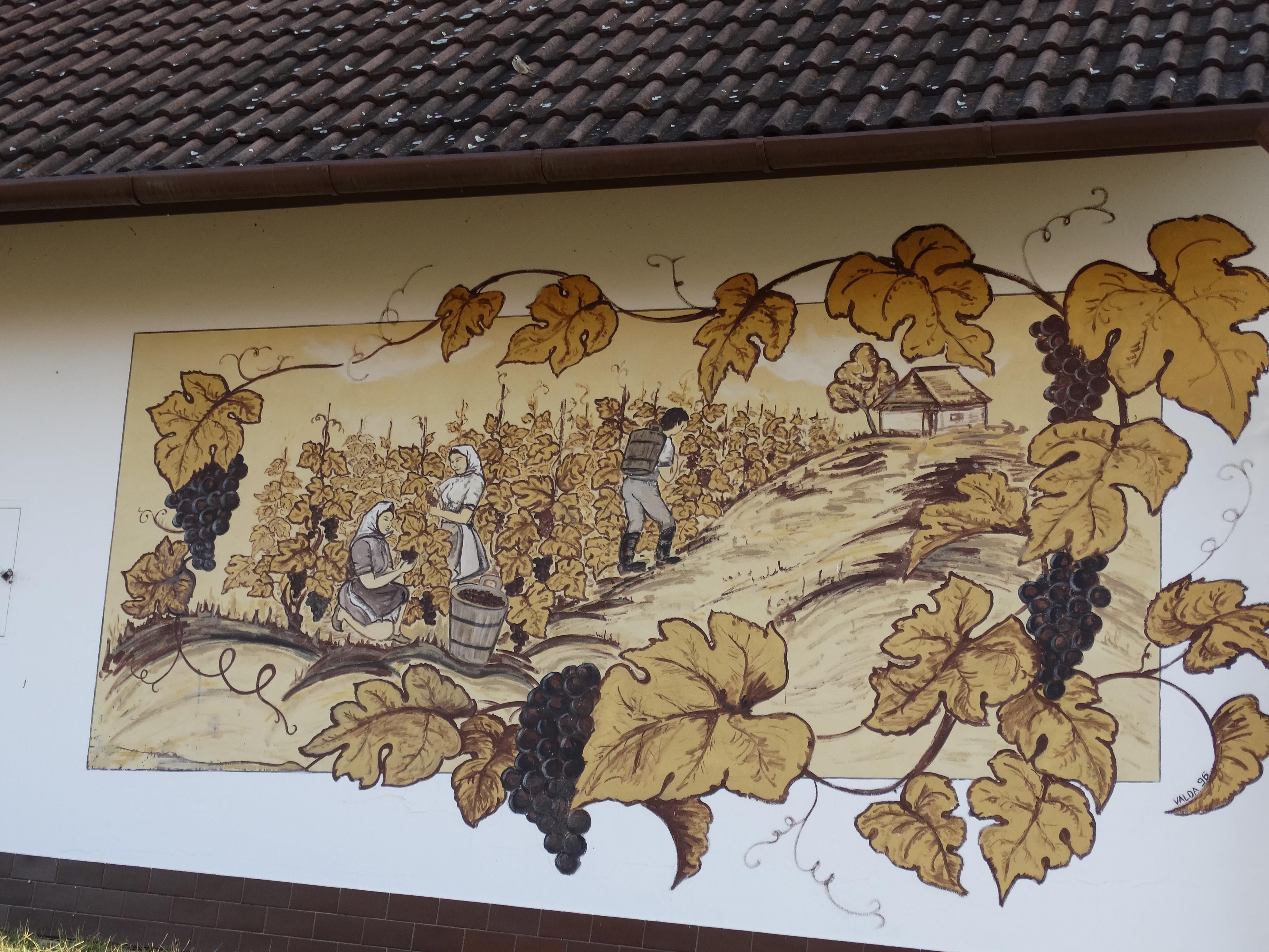 Vinařství Zálešák foto 6