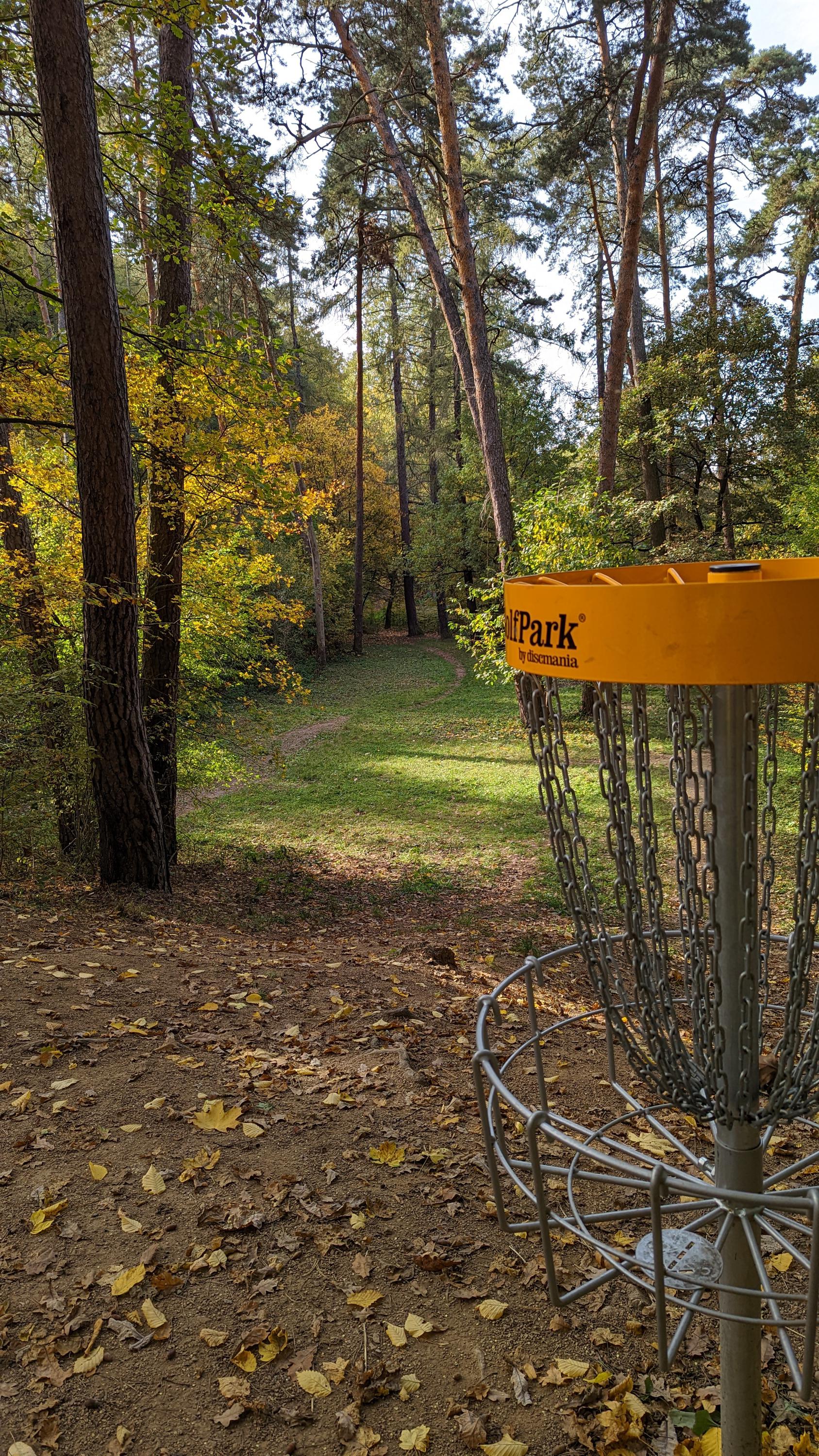 Disc Golf Zamilec foto 3