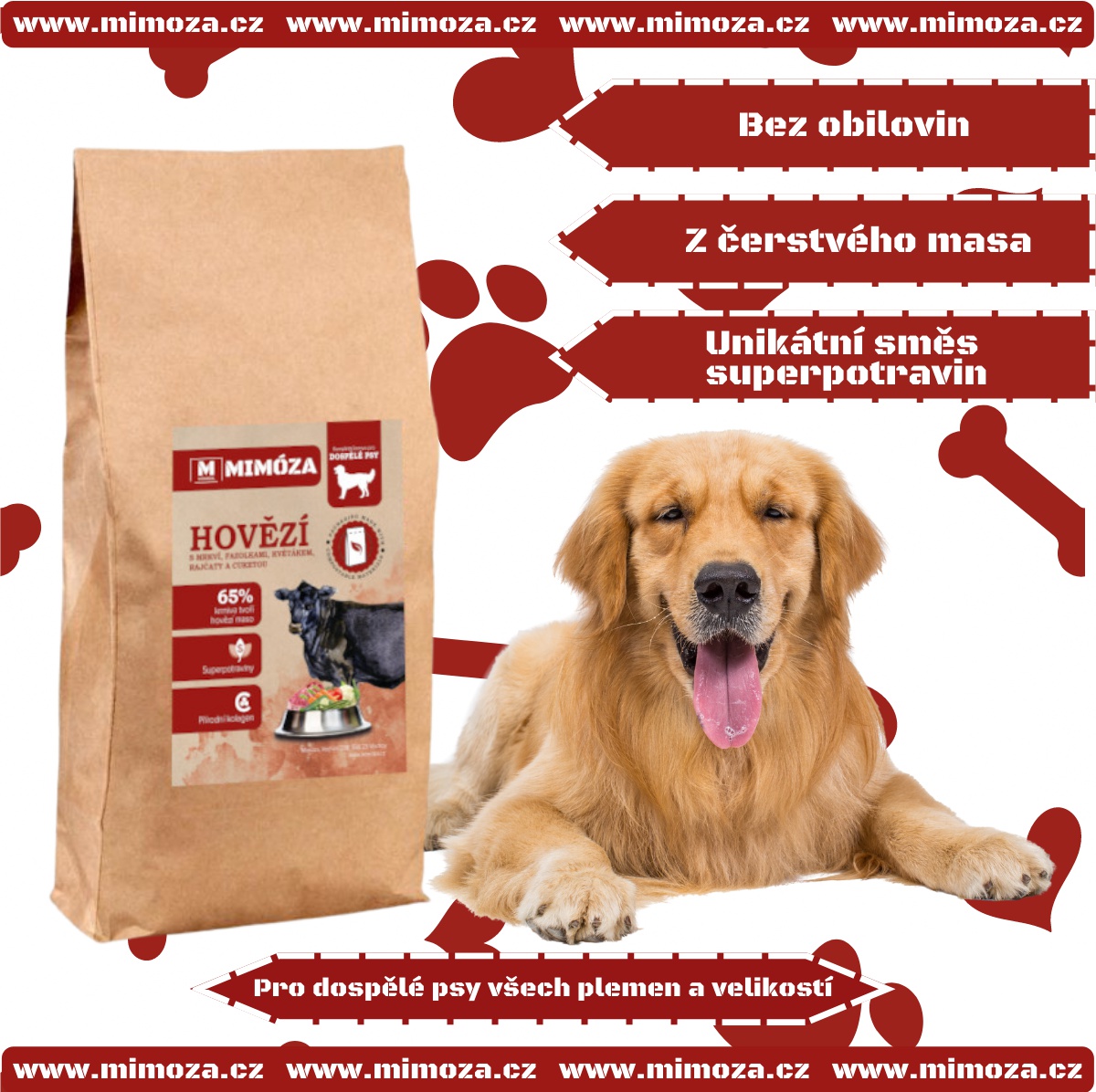 mimoza.cz foto 2