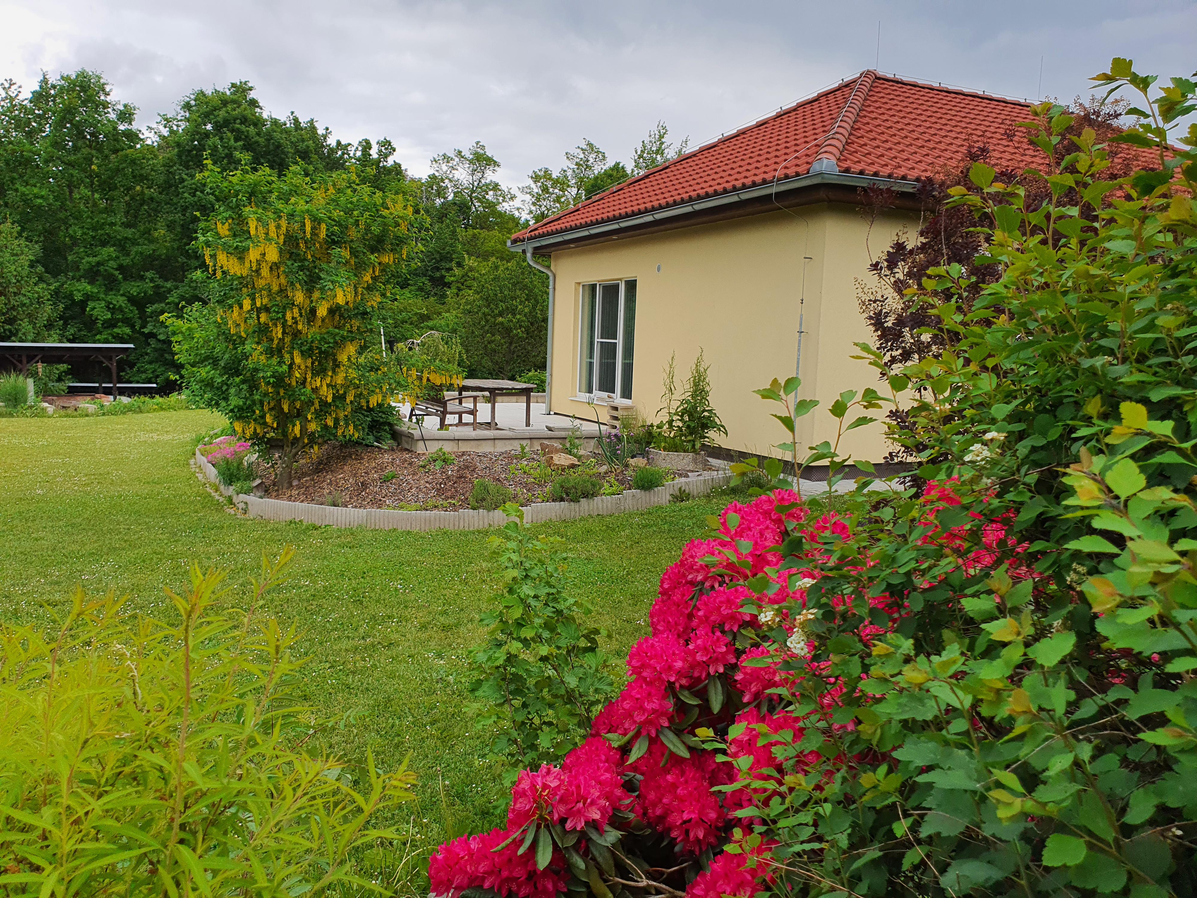 Bohdan Kříž  - Posečená zahrada foto 3