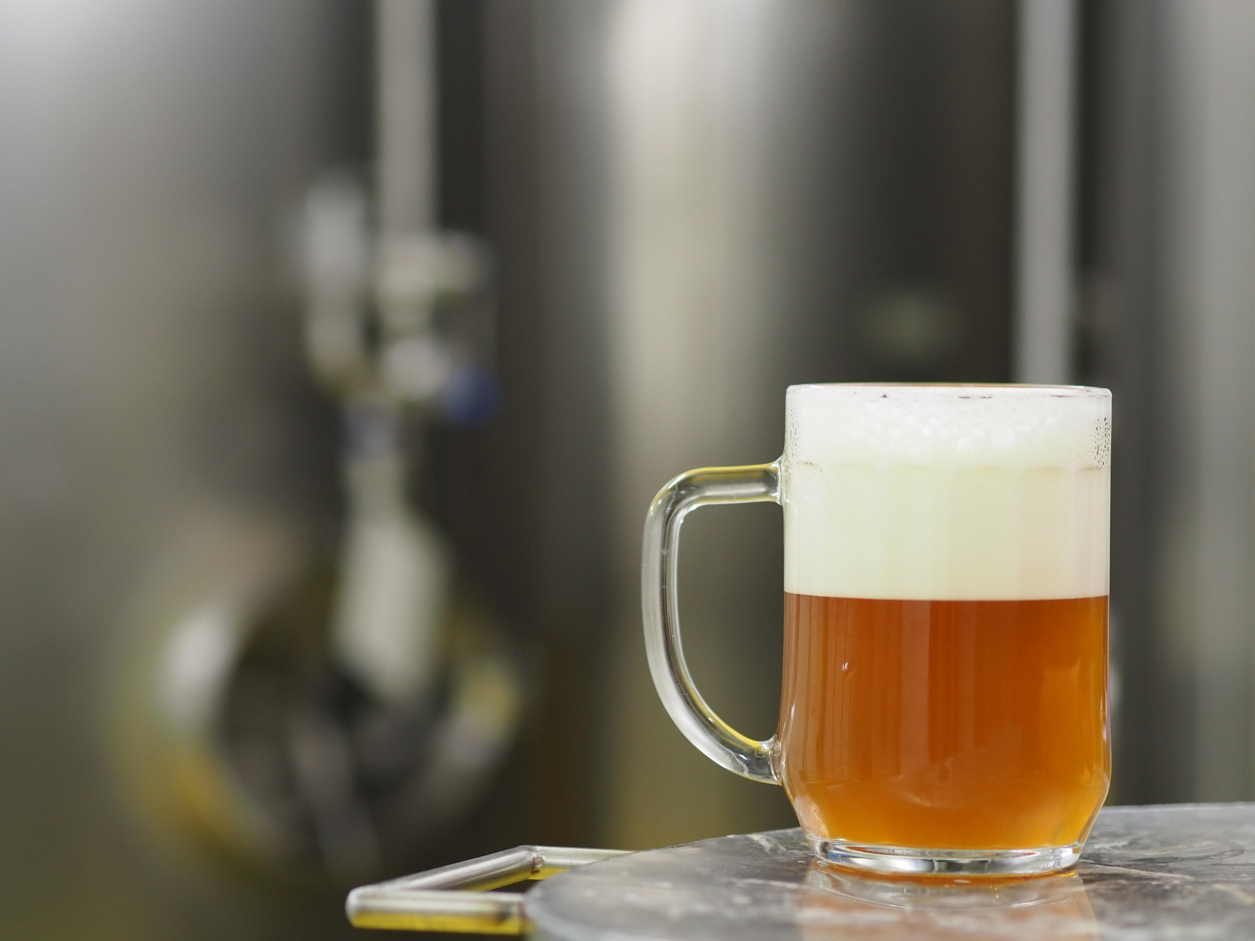 Létající sládci foto 5