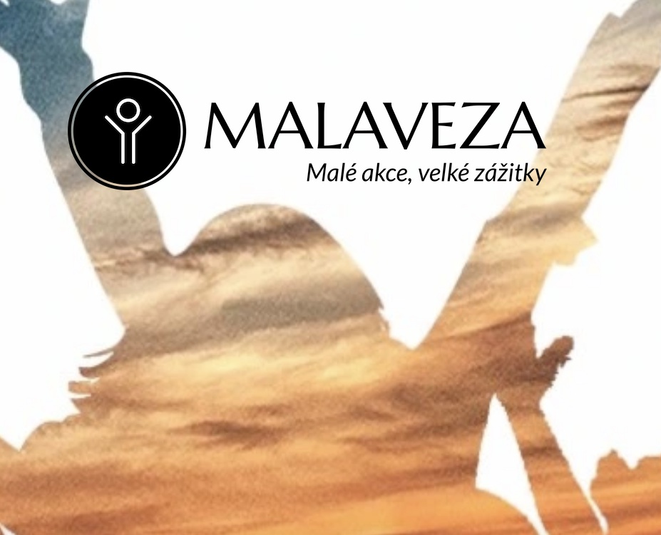 Malaveza - organizace akcí a plavání dětí foto 2