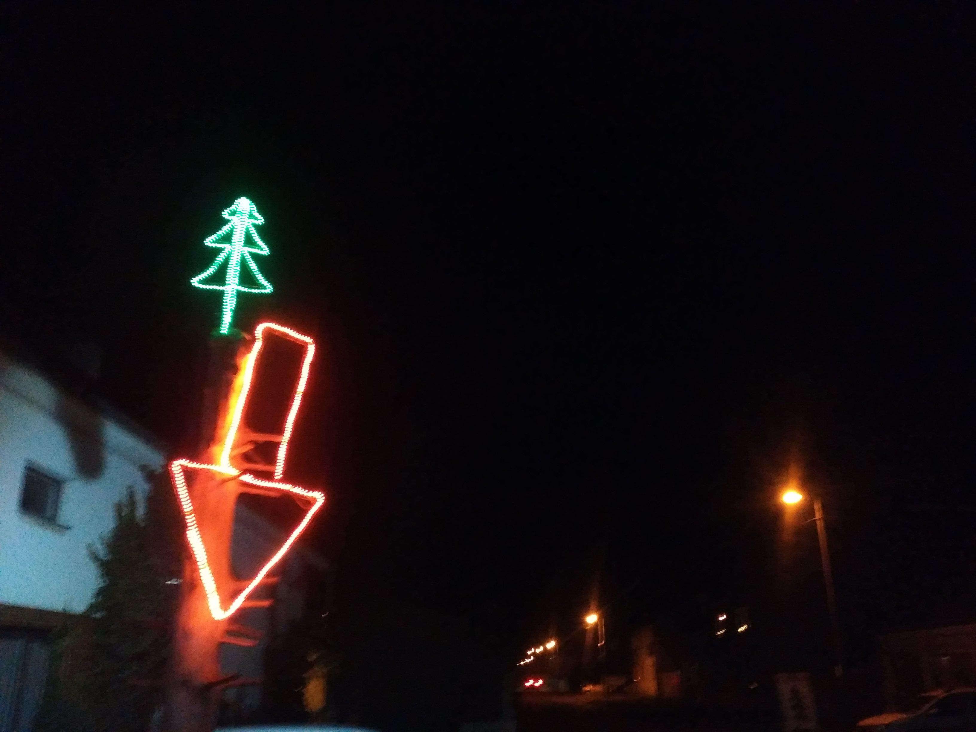 Vánoční stromky u Mišáků na dvoře foto 3