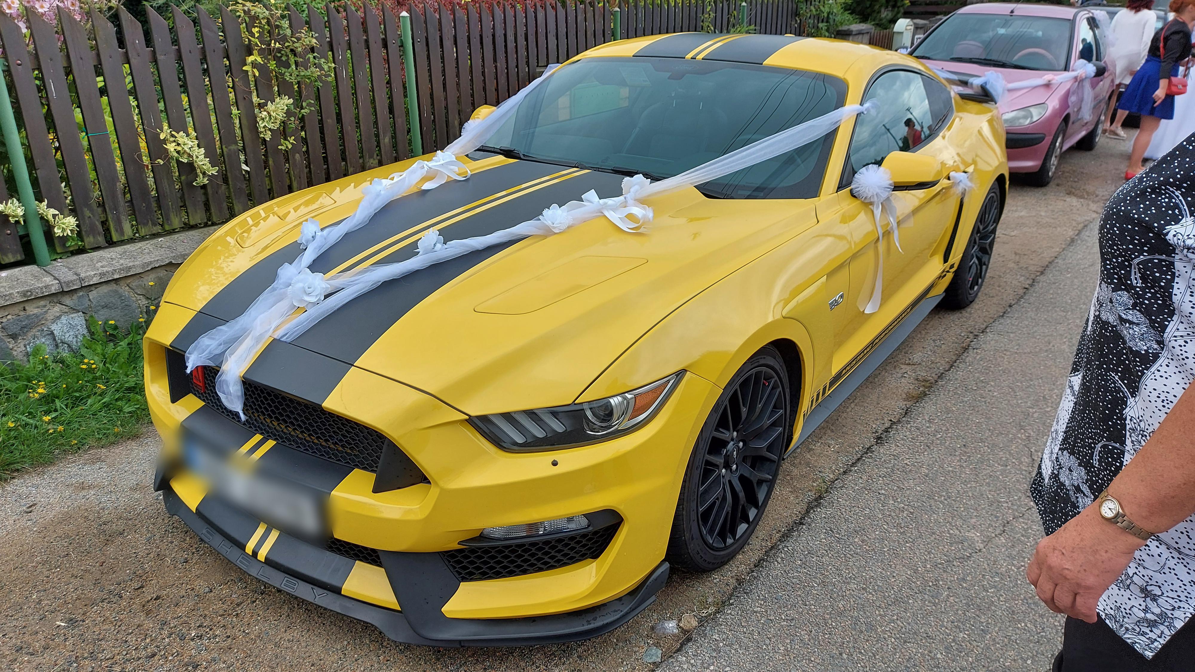 Srncův Mustang foto 5