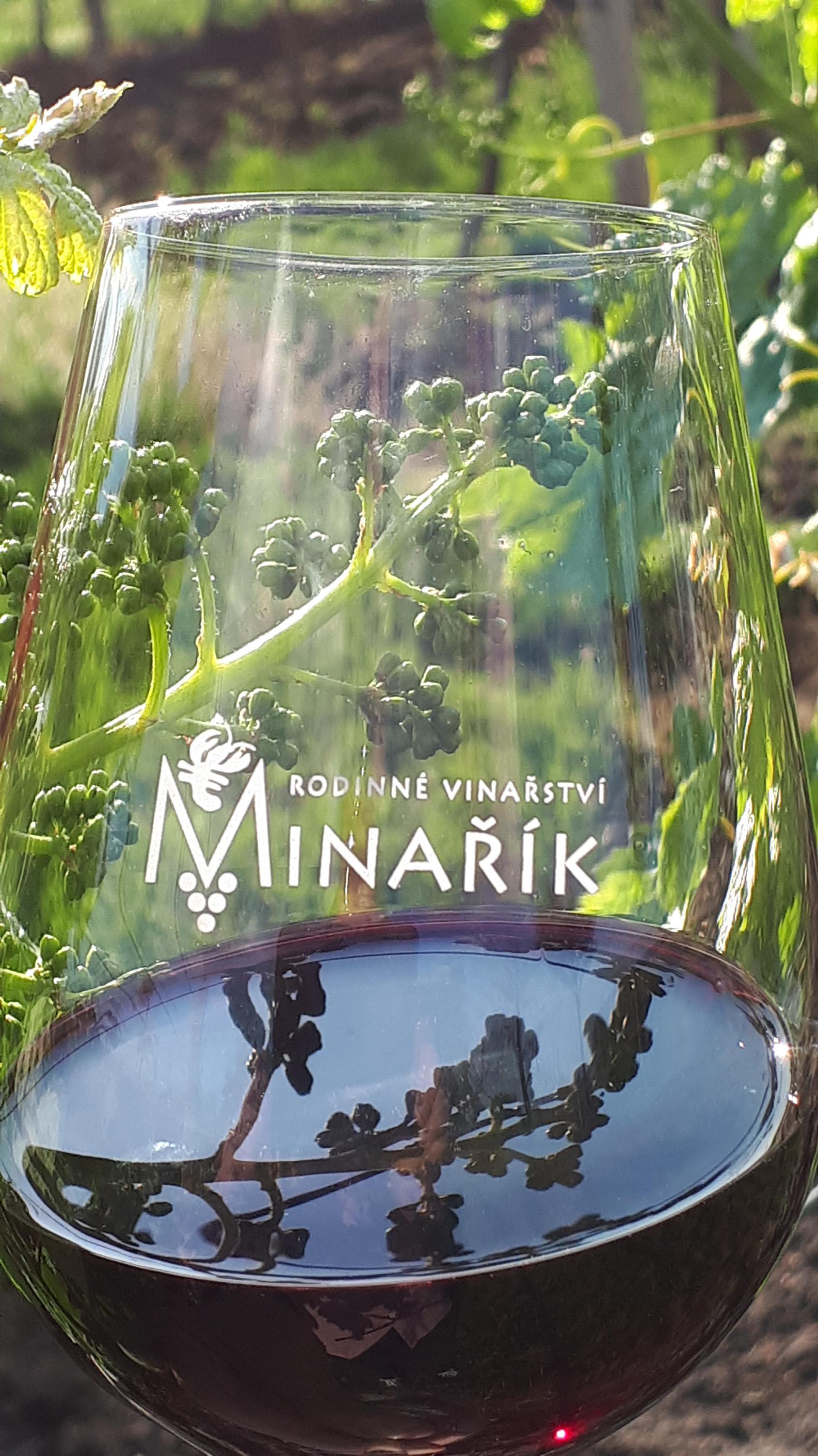 Vinný sklep vinařství Minařík foto 3